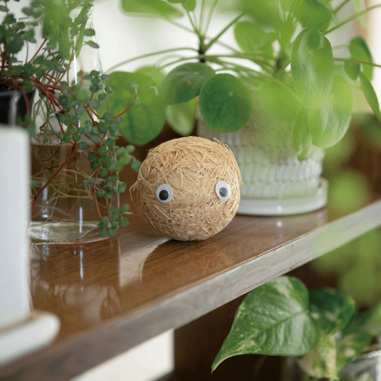 MOKUMONモクモン - 画像1