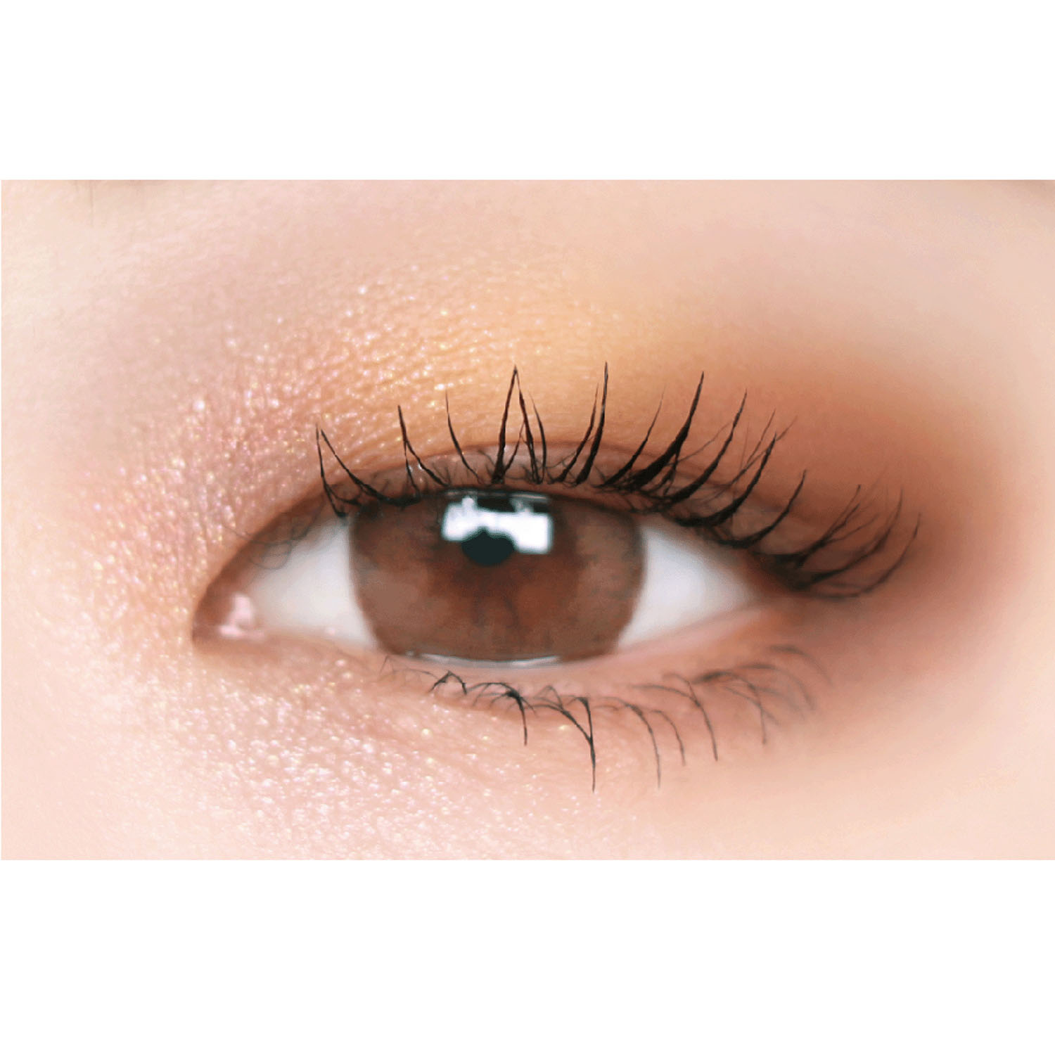 【メーカー廃盤のため在庫限りで終了】トゥルービューティー パレット - 画像3