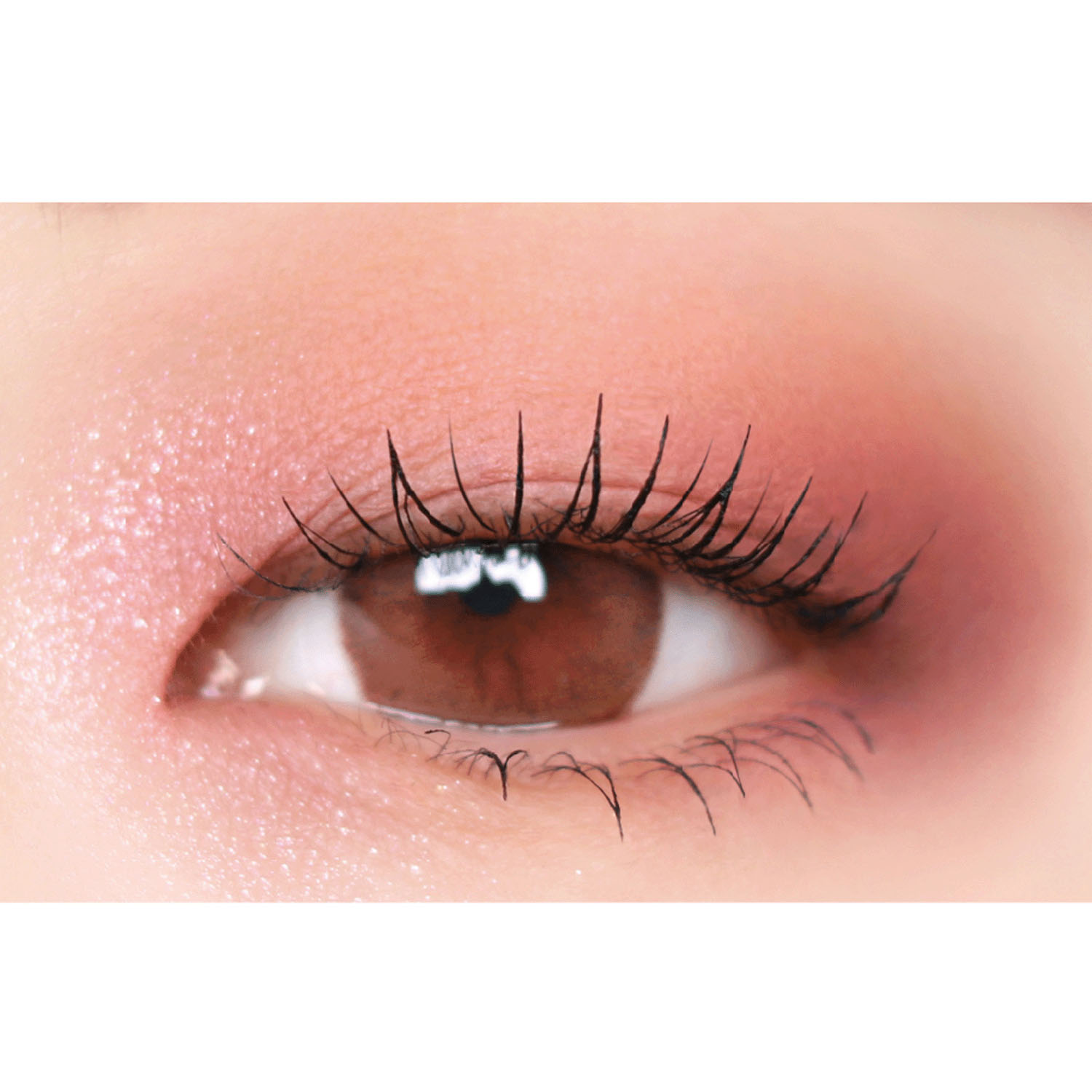 【メーカー廃盤のため在庫限りで終了】トゥルービューティー パレット - 画像5