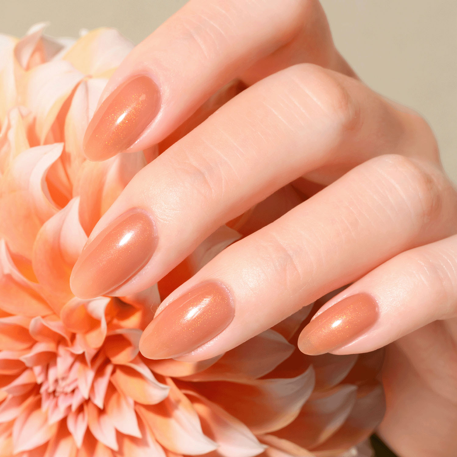 ジェルミーワン - 画像9