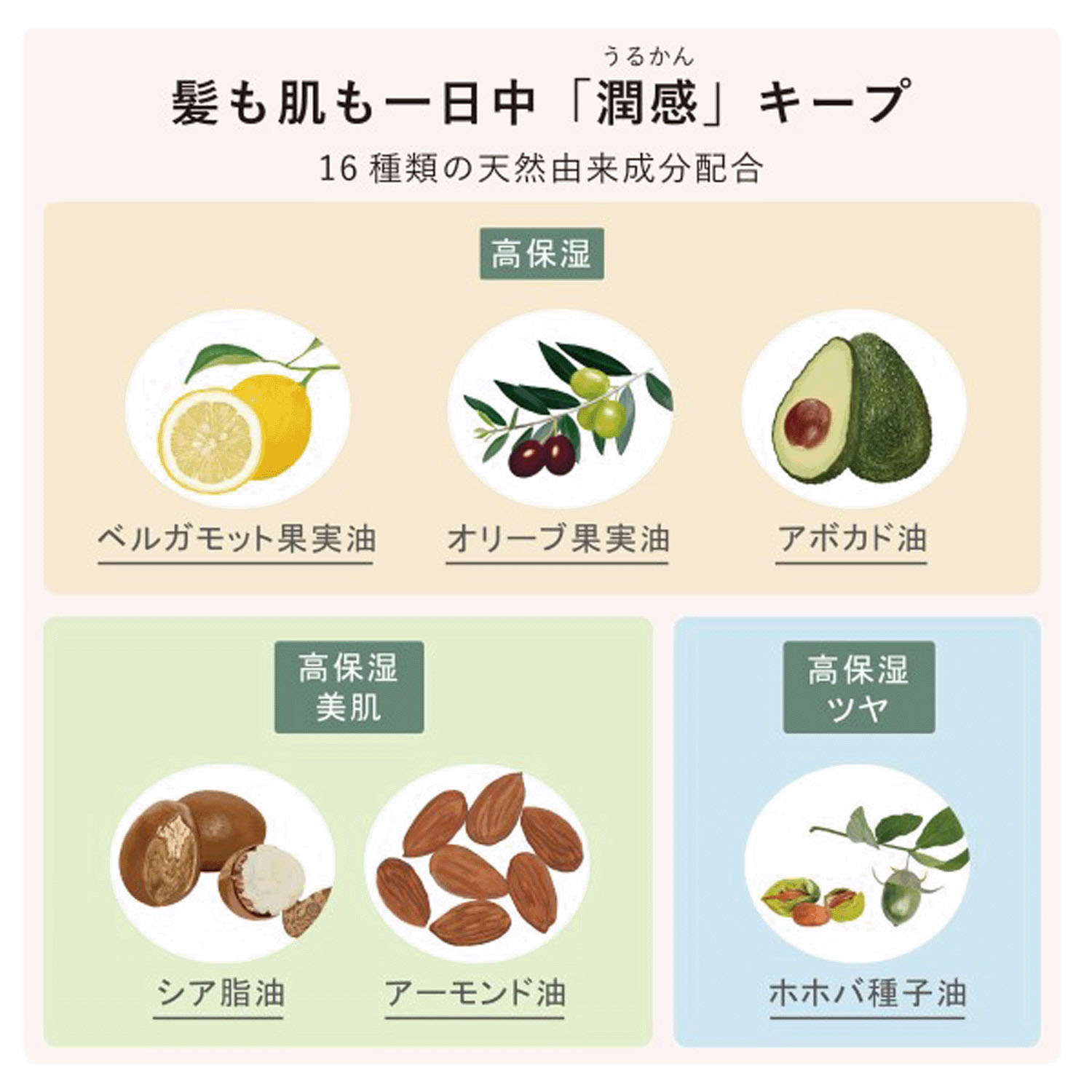 ヒビノオーガニックオイル - 画像13