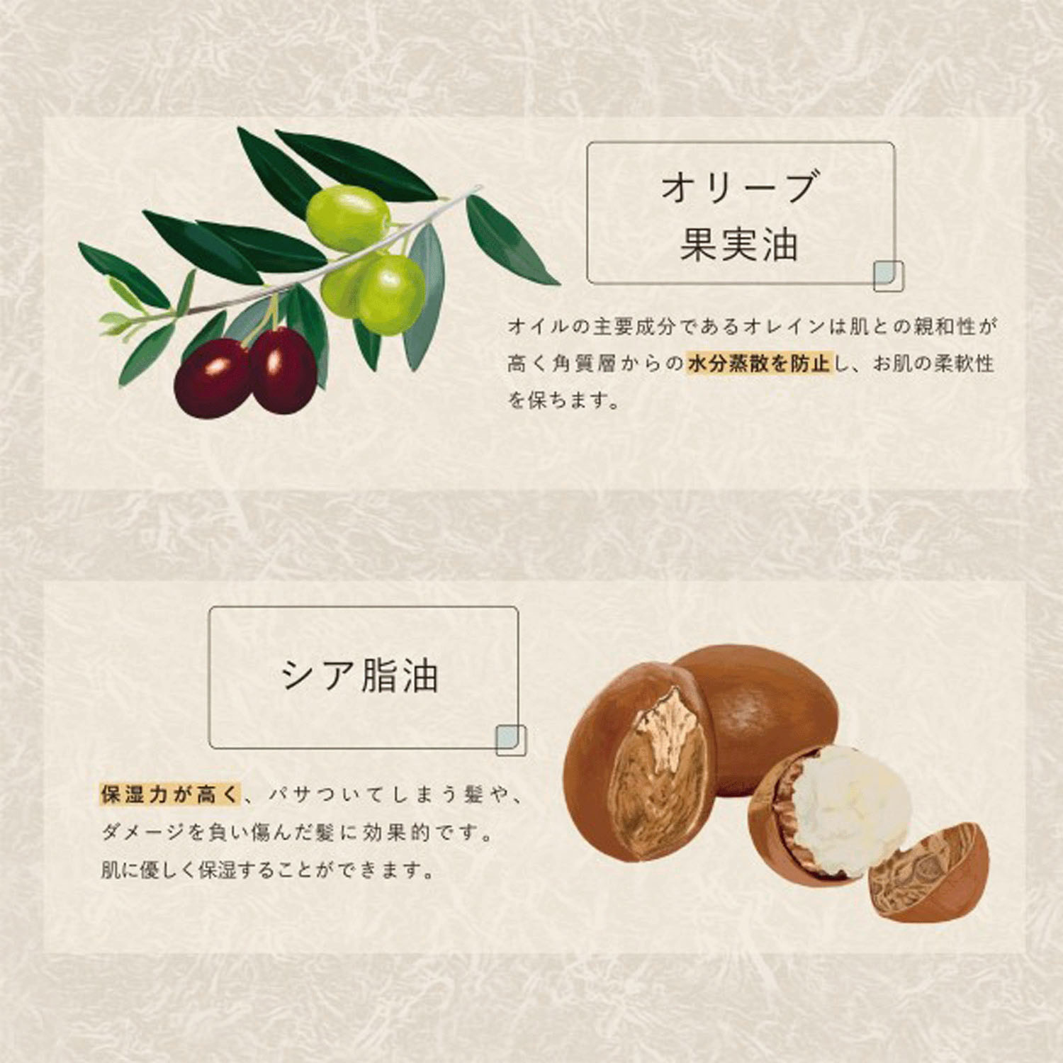 ヒビノオーガニックオイル - 画像15