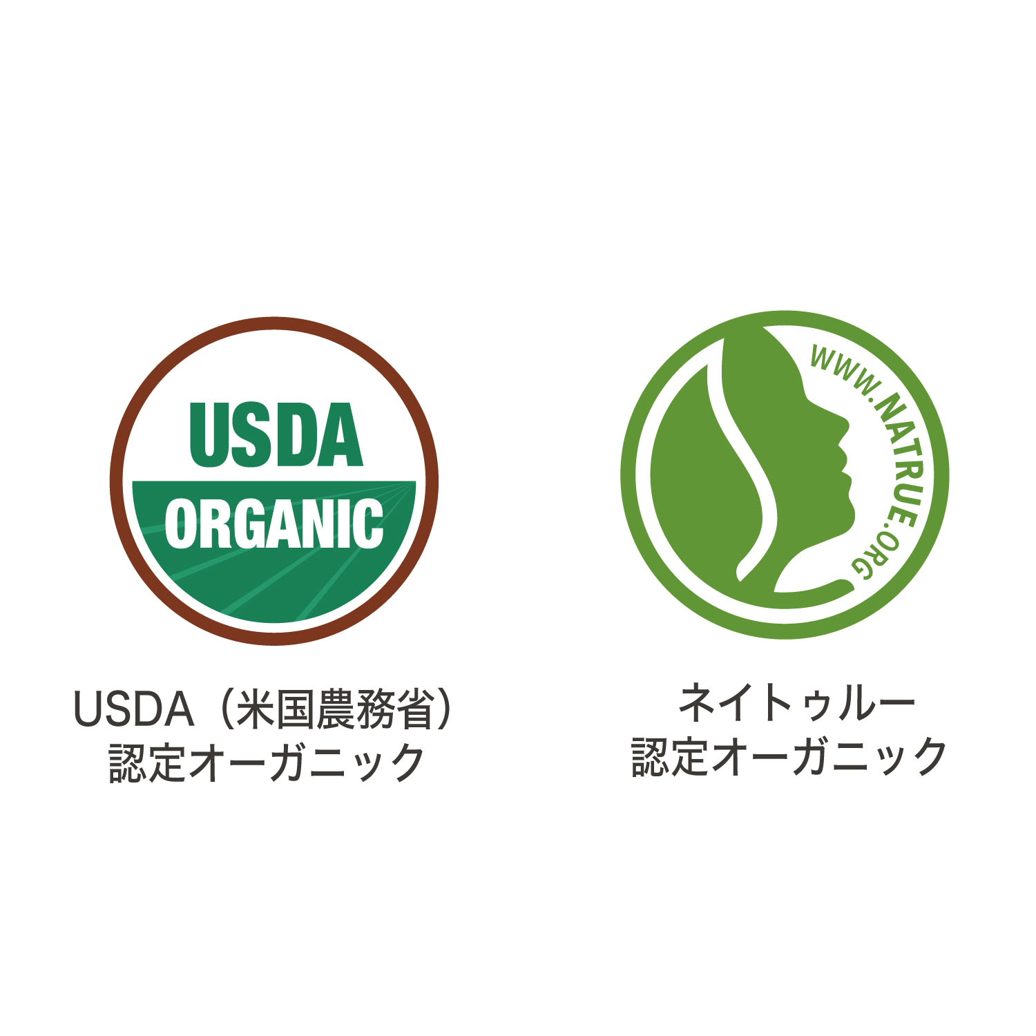 アルテヤオーガニック ブルガリアンローズ セラム〈美容液〉 - 画像9