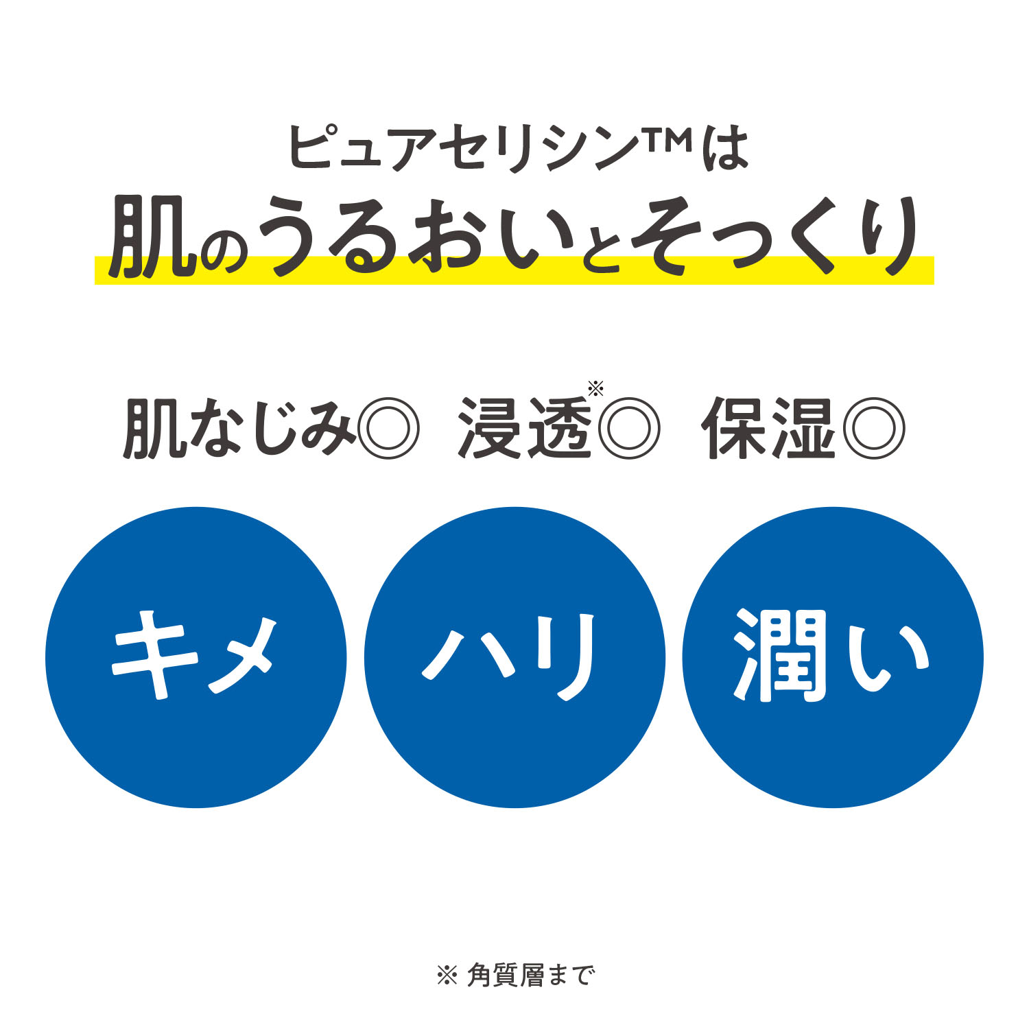 PSリキッド - 画像2