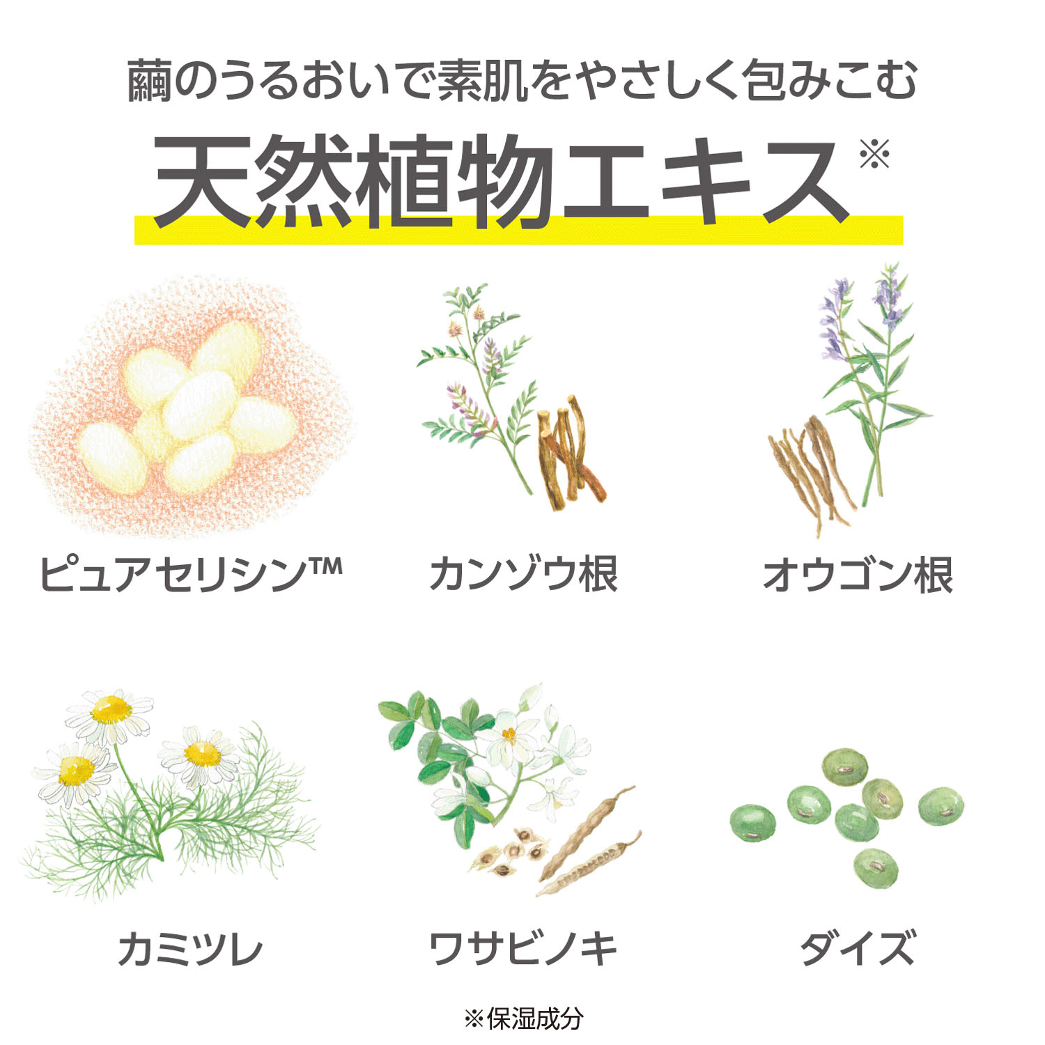 コクーンモイスチュア UVプロテクション - 画像3