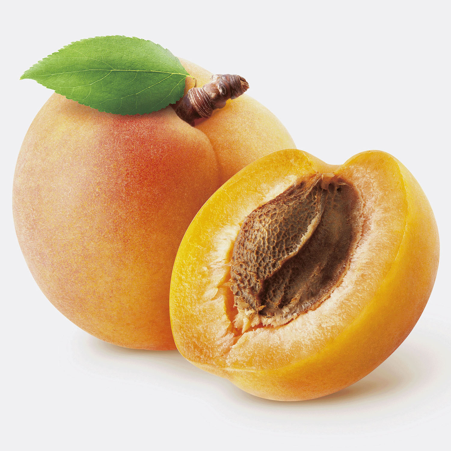 【予約可能品】イボンボン 貼るだけ杏仁ジェルパッチ - 画像9