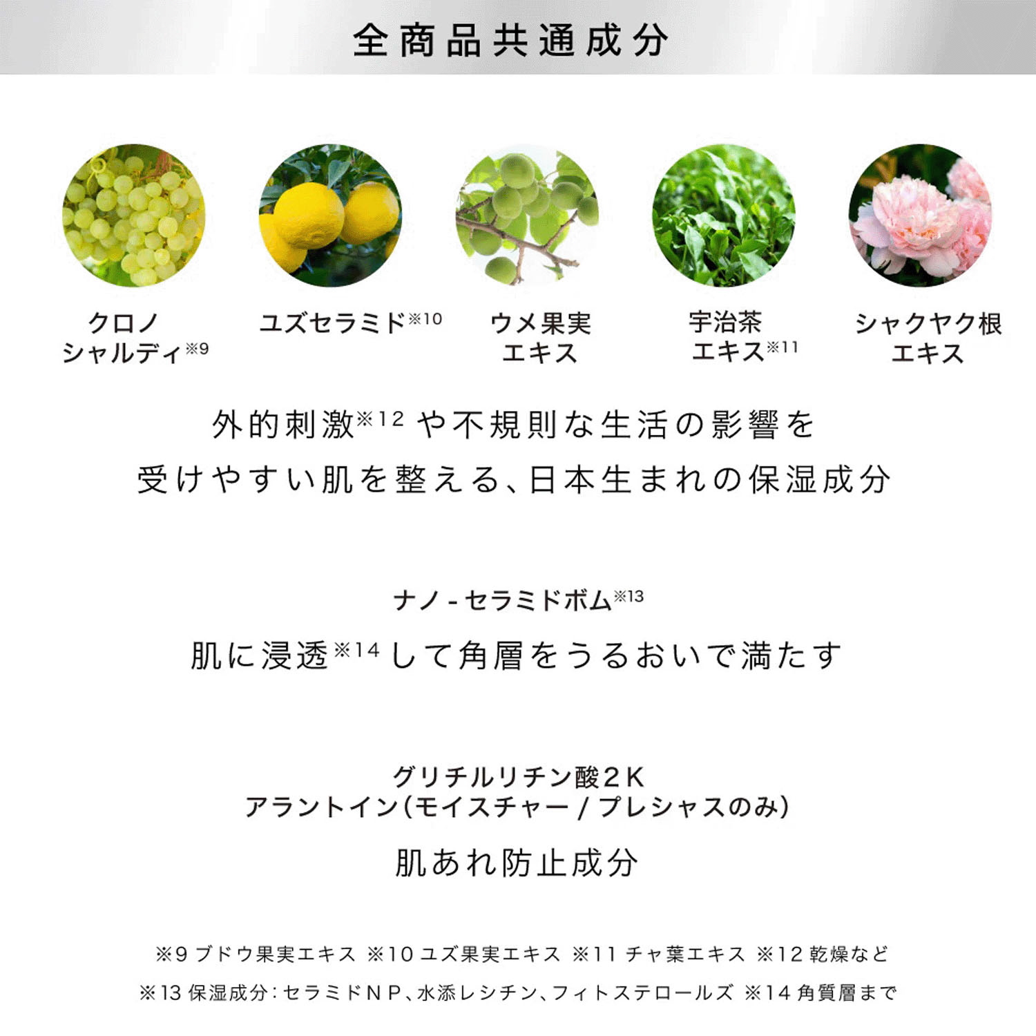 RISM ディープエクストラマスク（プレシャスのみ品番624－447） - 画像8