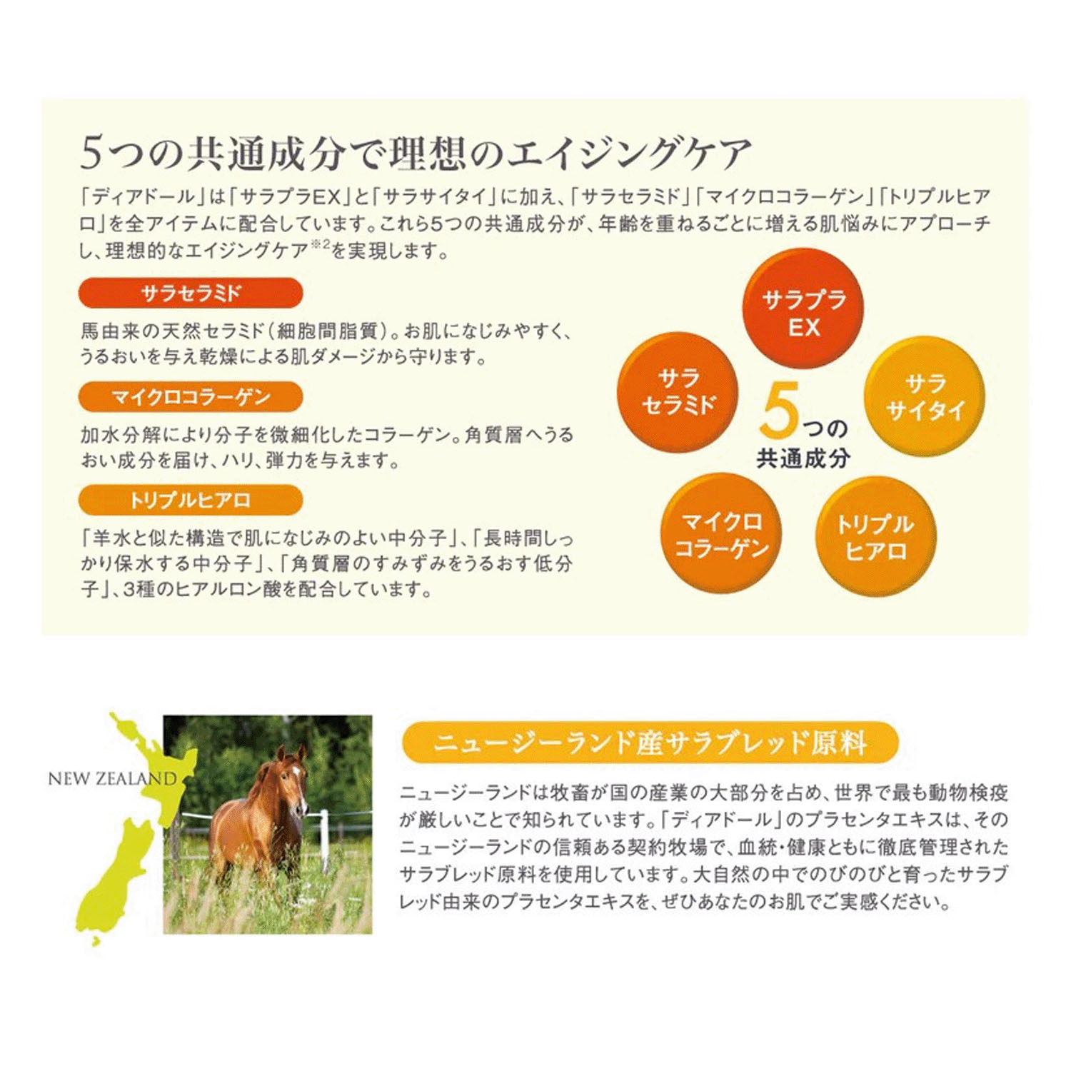 【順次パッケージ変更】キッスイ イントローション - 画像3