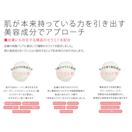 チズビーモイスチャーヴェールクリーム - 画像2