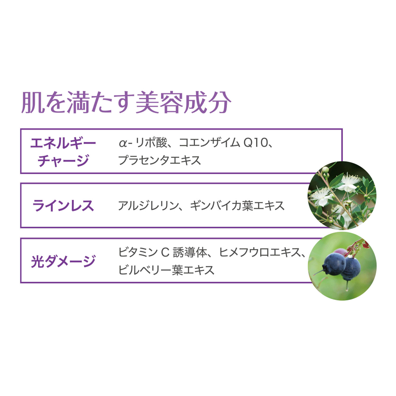 リプレニッシュクリーム - 画像3