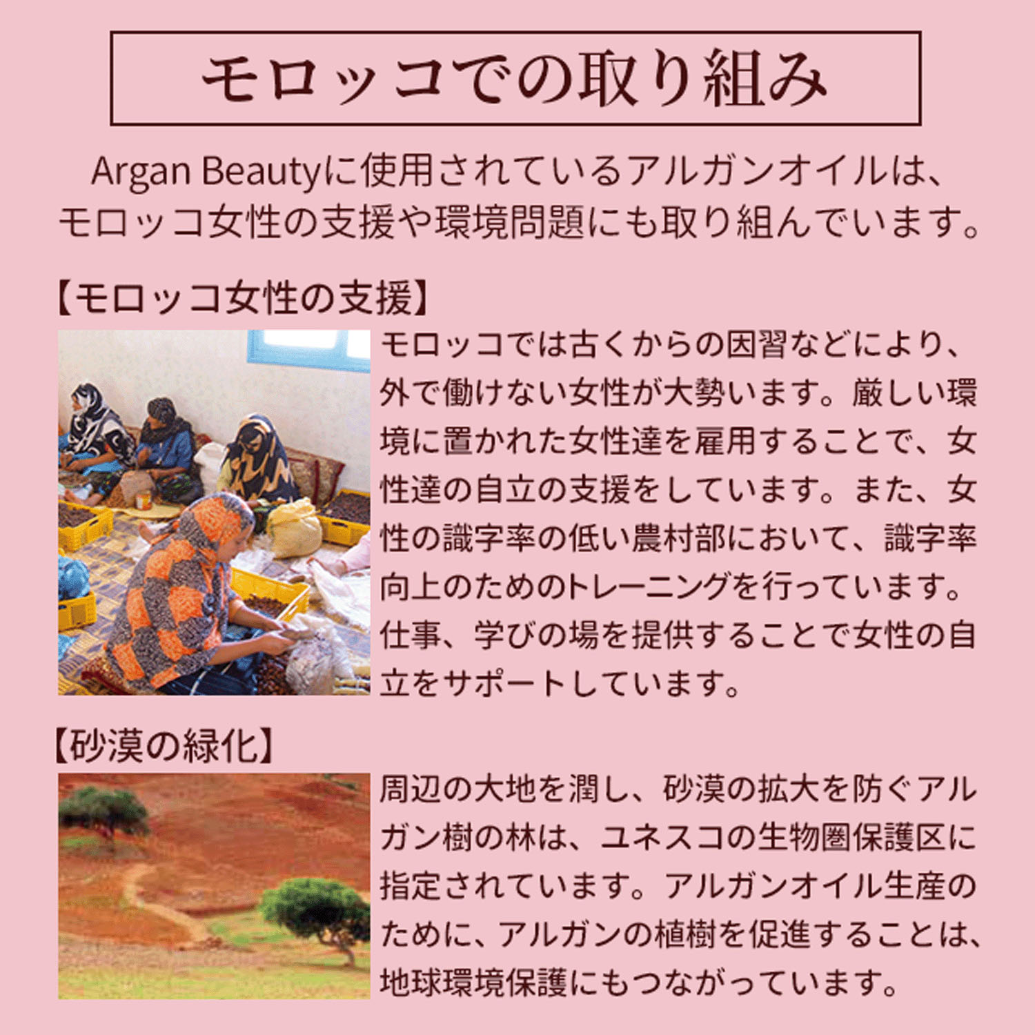 アルガンビューティー アルガンオイル - 画像7