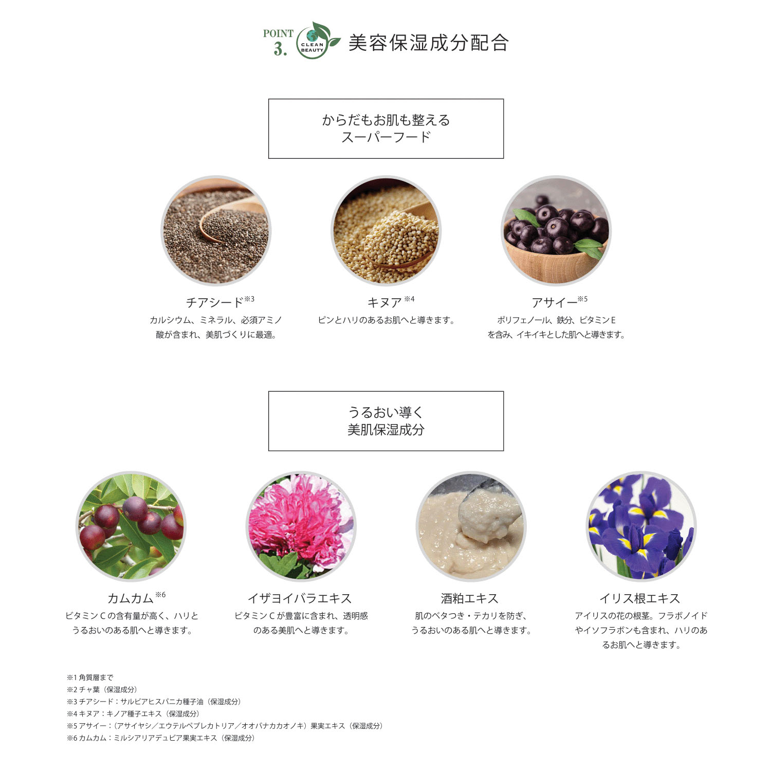 【新商品お試し割引2／26迄】KITAO MATCHAフェイシャルクリーム - 画像10