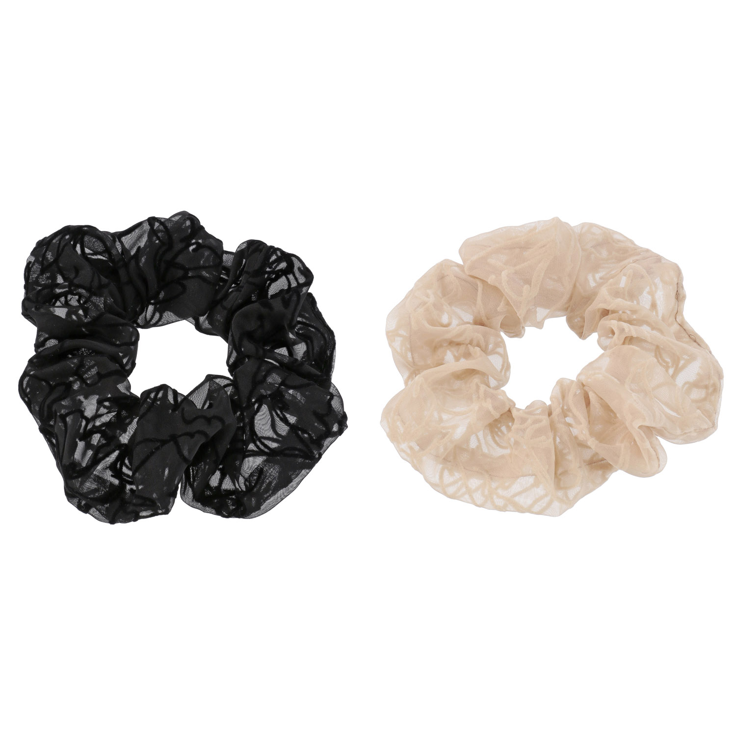 フロシュ25シュシュ - 画像1