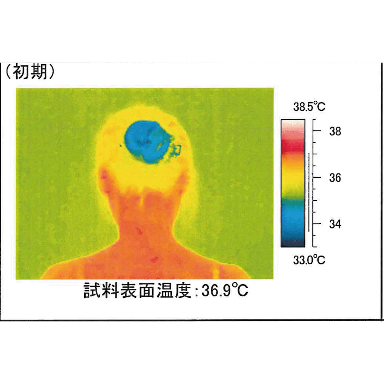 エコクールゲルネックバンド - 画像9