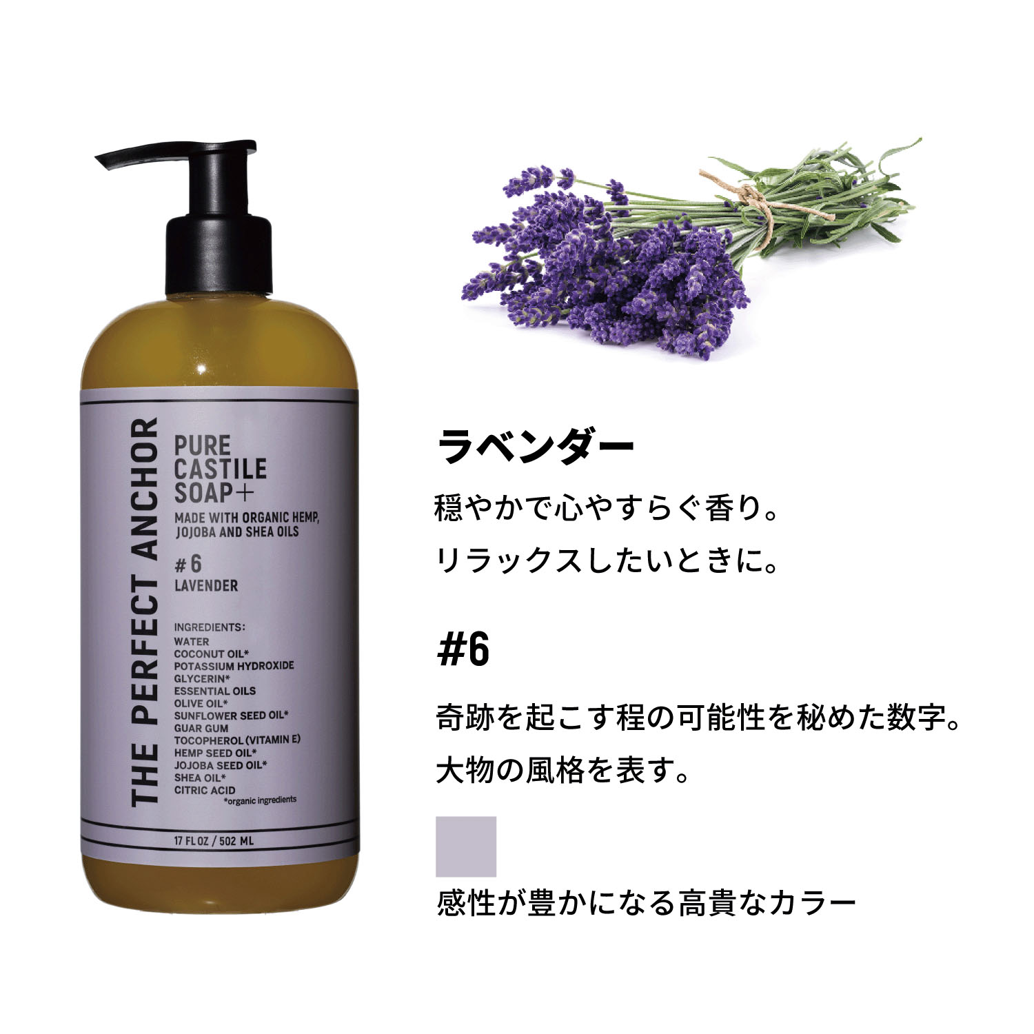 ザ・パーフェクトアンカーピュアカスチールソーププラス - 画像21