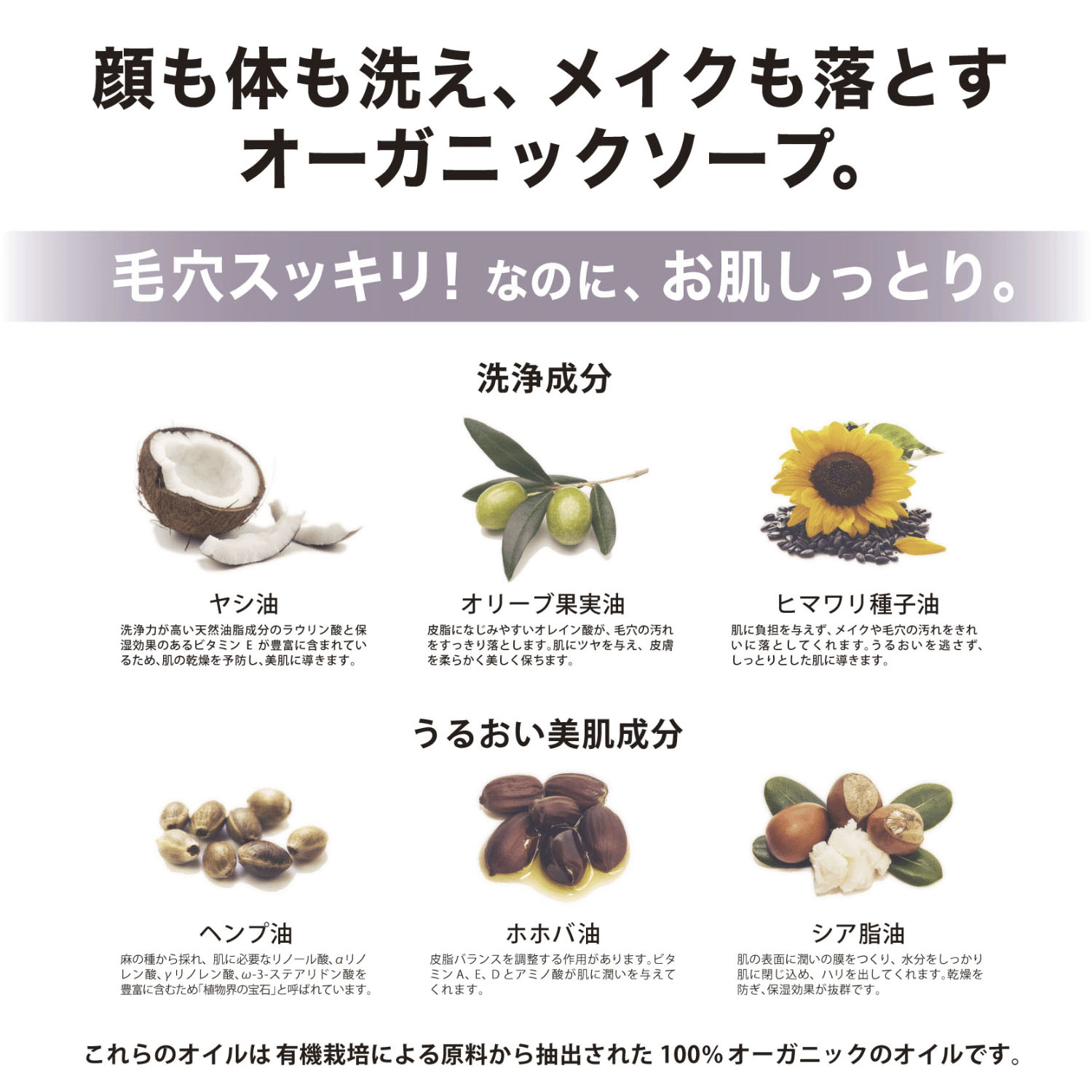 ザ・パーフェクトアンカーピュアカスチールソーププラス - 画像5