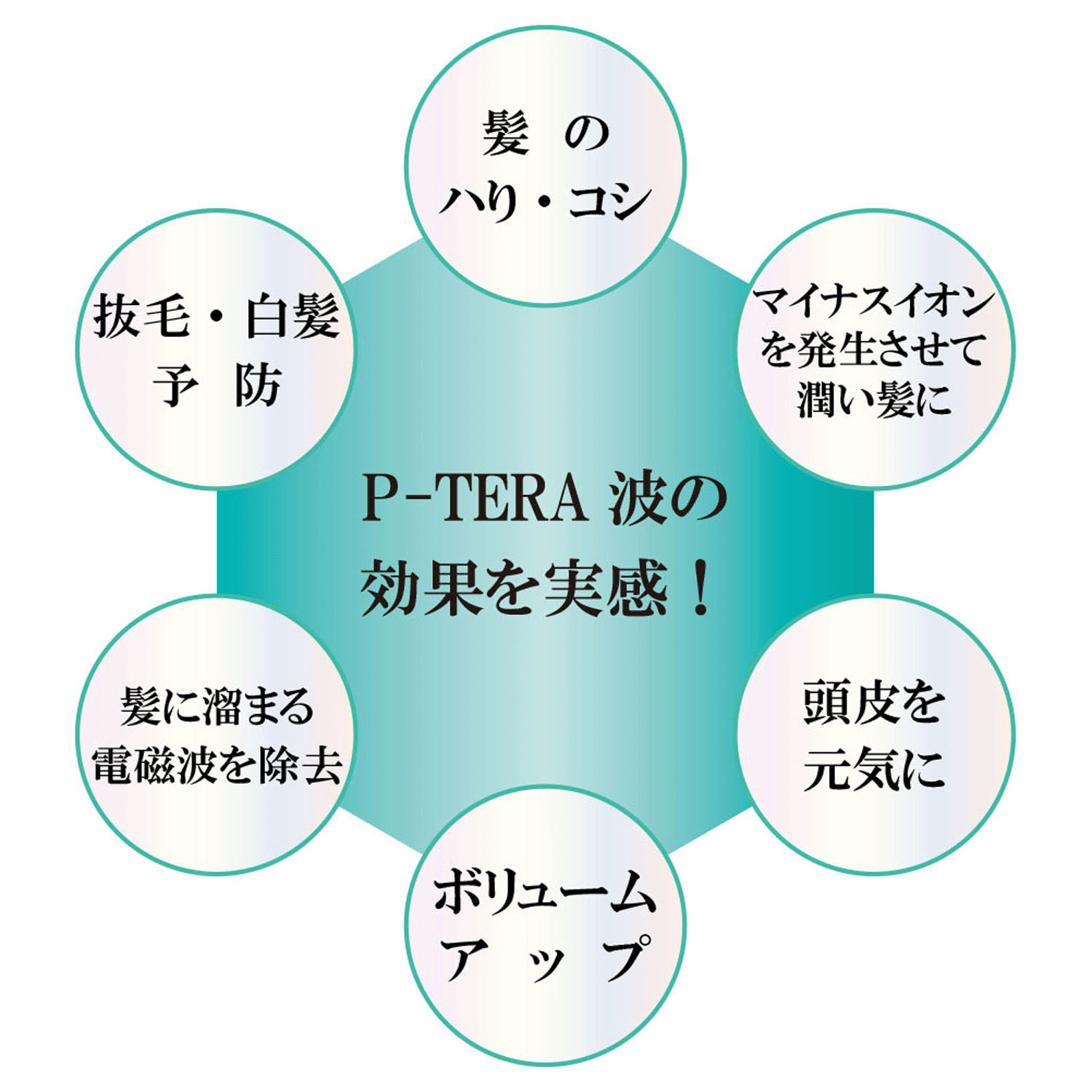 テラヘルツシルキーコーム - 画像6