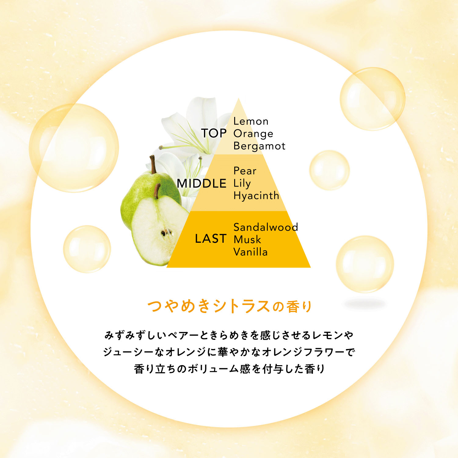 サボリーノシャンプー - 画像4