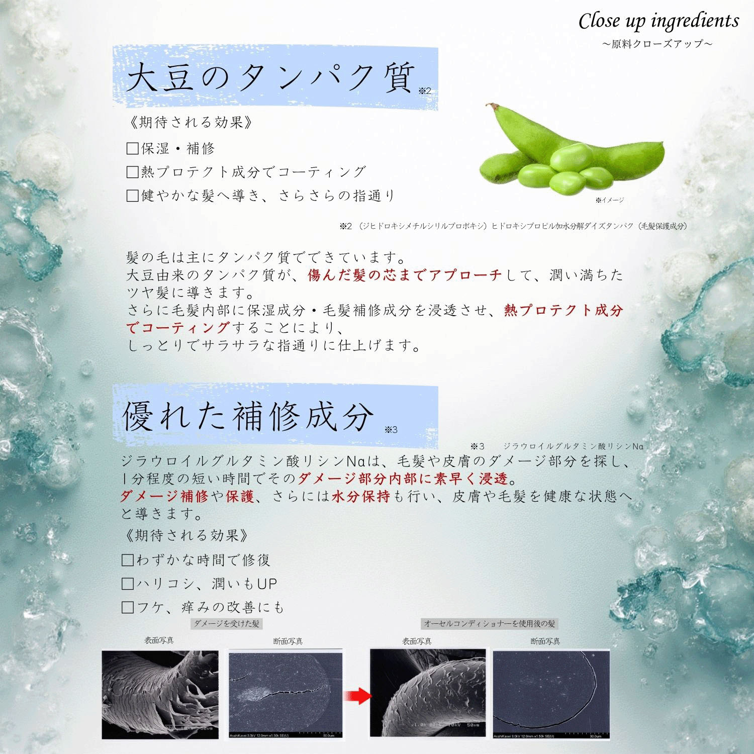 オアシス ステムリッチ シャンプー - 画像6