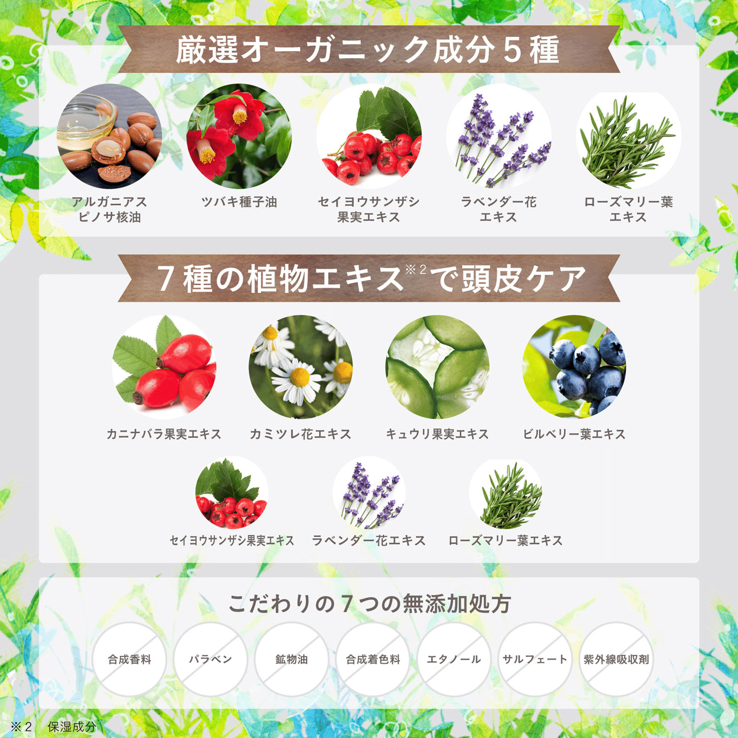 EPIS ビタミンソルベ ヘッドスクラブ - 画像5