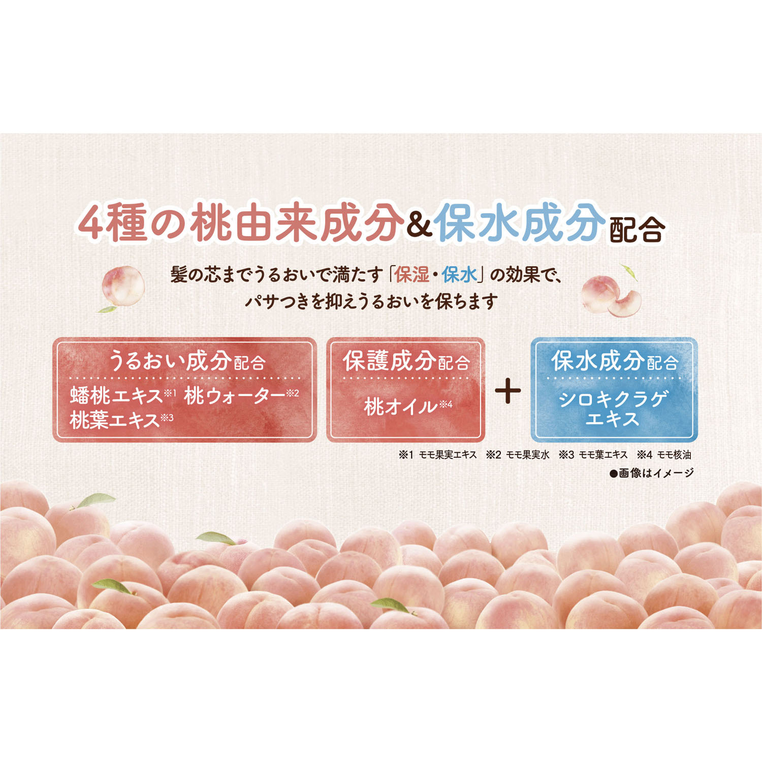 モモリさらりとまとまるヘアミルク - 画像2