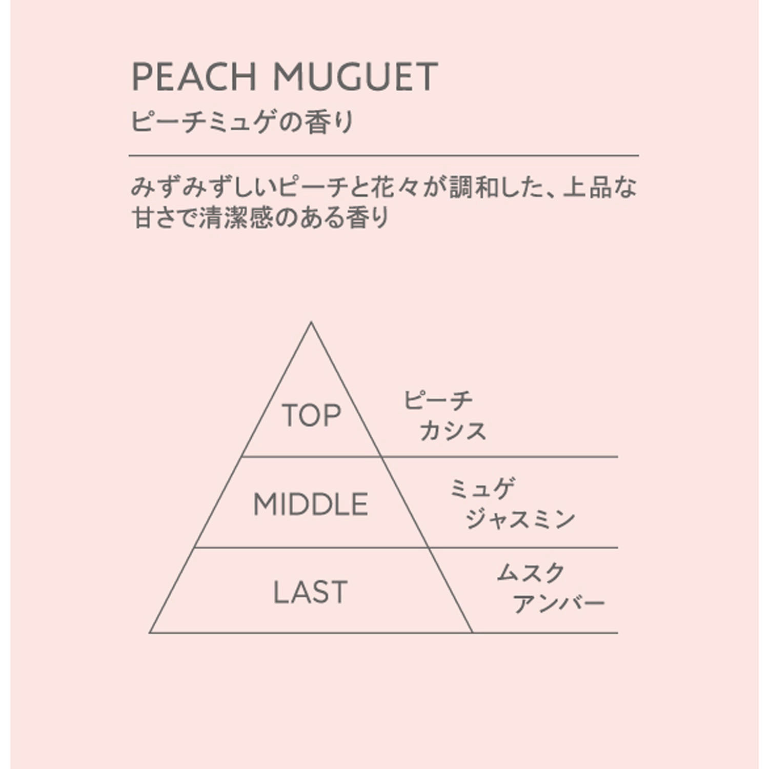 COHARUスタイリングオイル＜ナチュラル＆ライトウェット＞ - 画像3