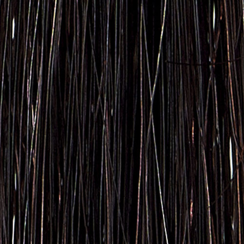 Mottoボタニカラーシャンプー  ダークブラウン ポンプ式 300mL - 画像3