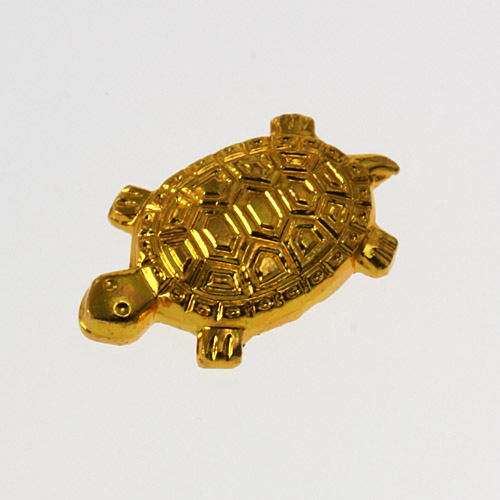 金色銭亀 - 画像1