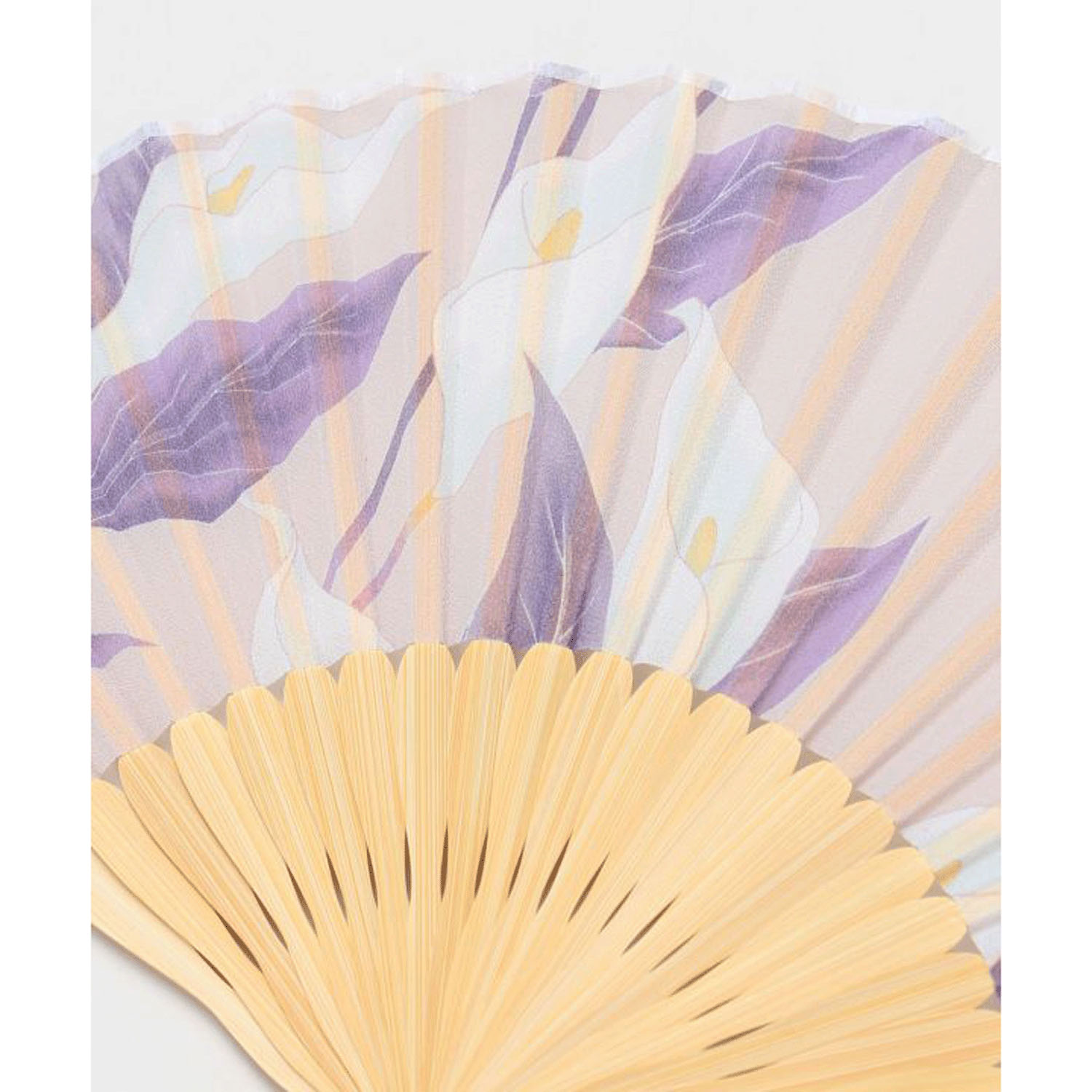 水芭蕉扇子 - 画像4