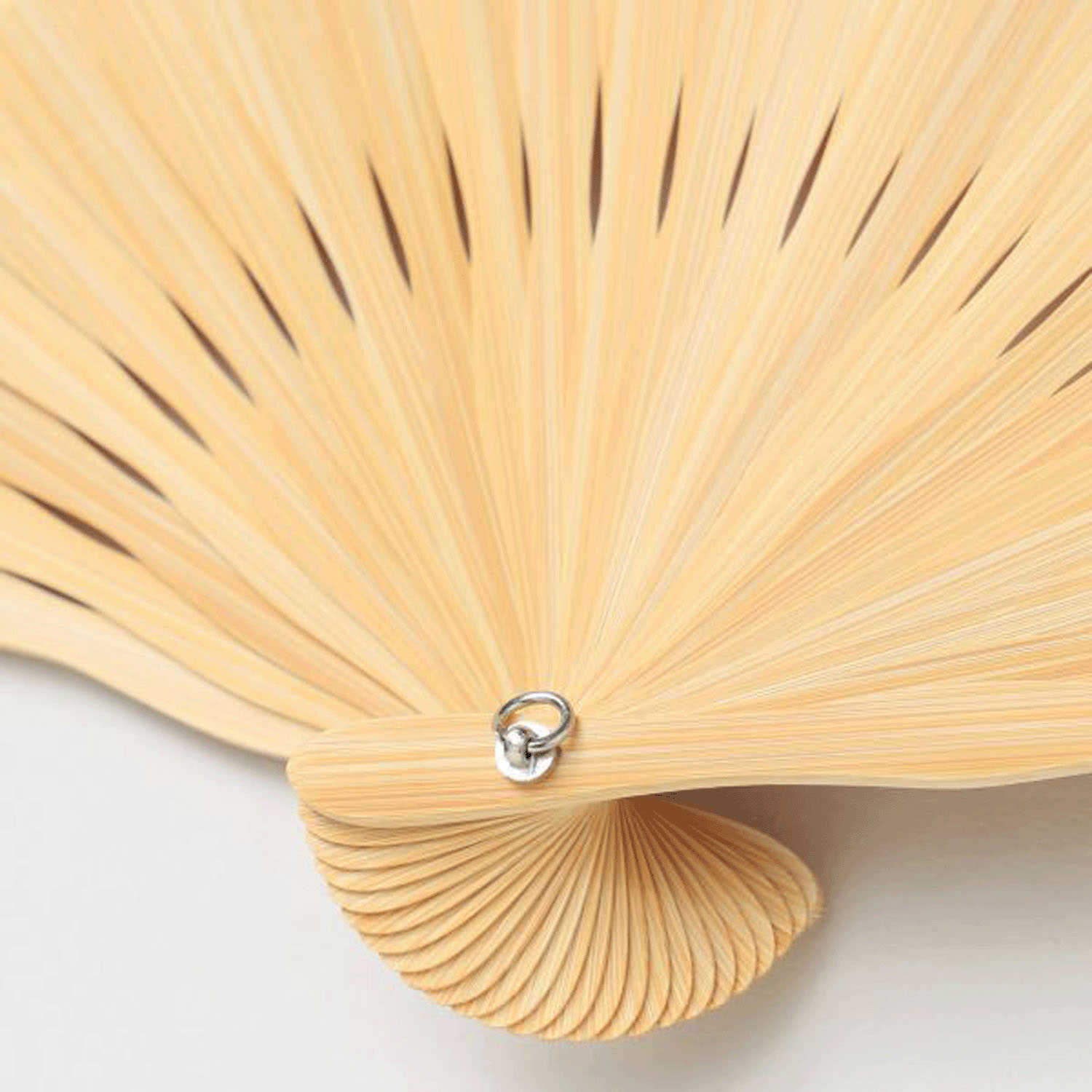 水芭蕉扇子 - 画像6