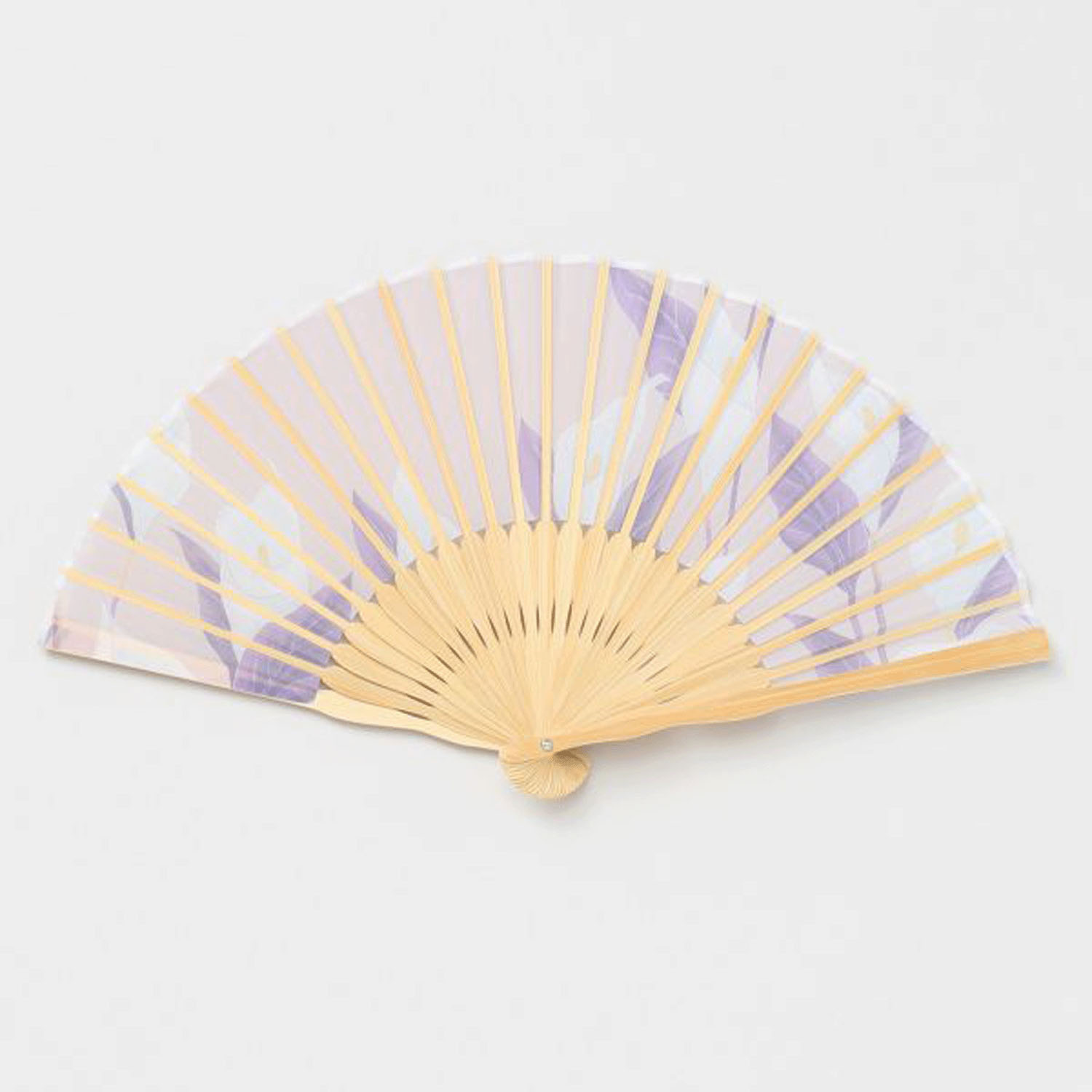 水芭蕉扇子 - 画像7