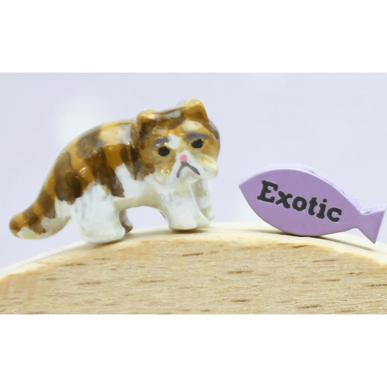 elioピアス エキゾチックショートヘア - 画像1