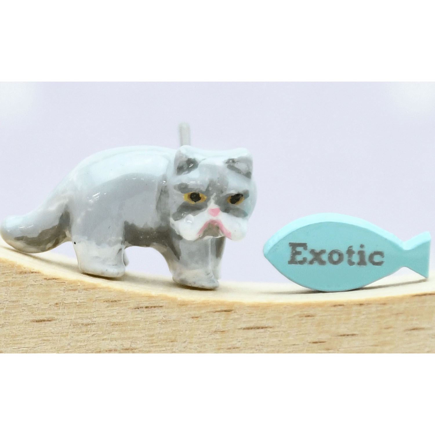 elioピアス エキゾチックショートヘア