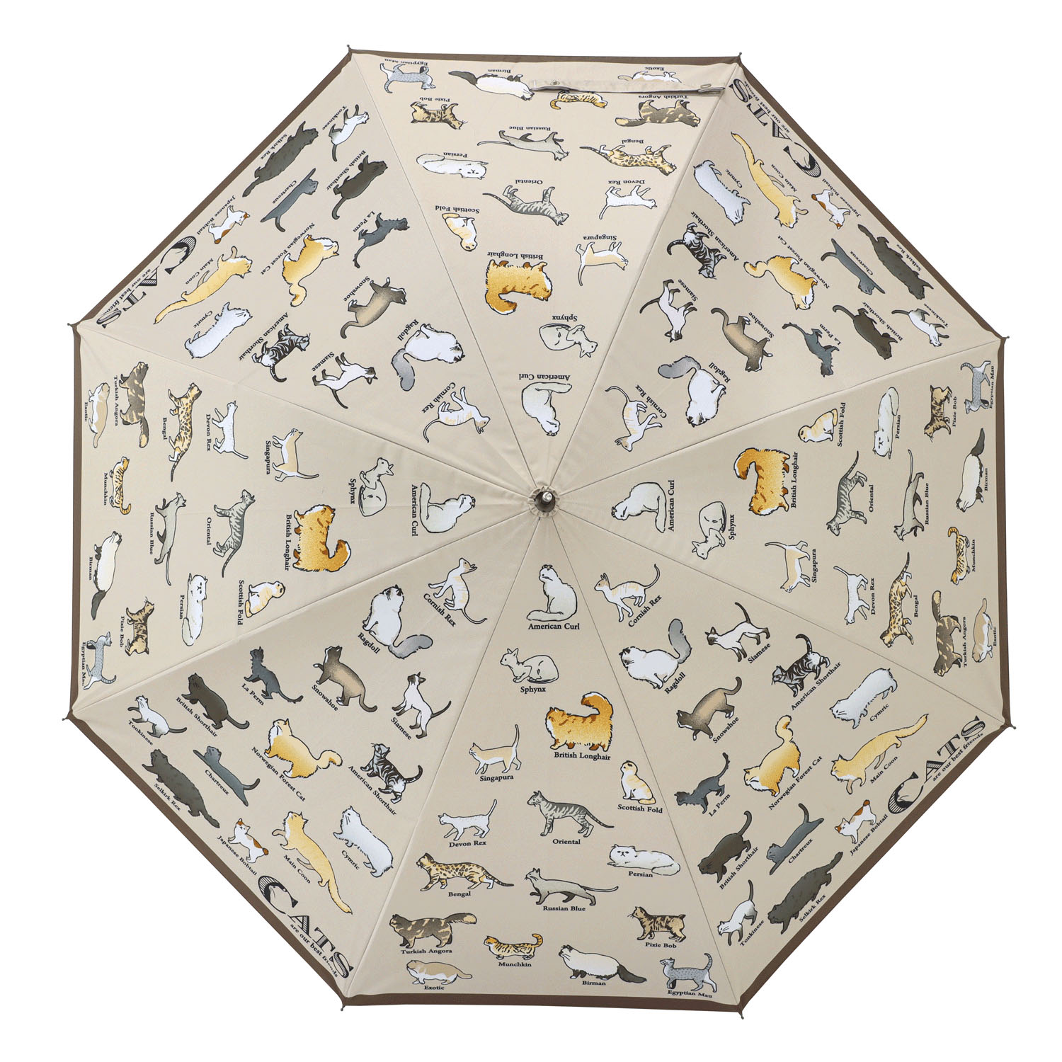 傘 猫図鑑 - 画像2