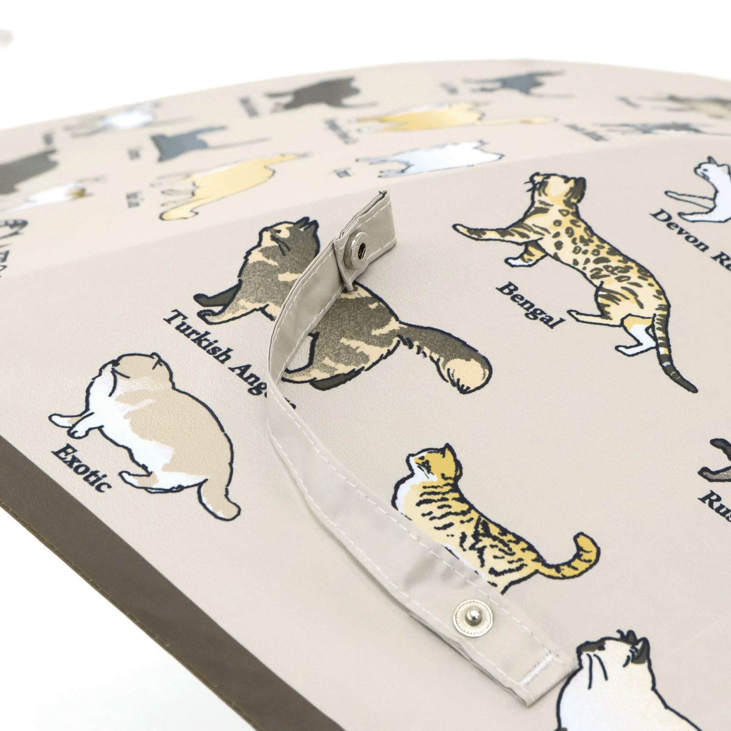 傘 猫図鑑 - 画像6