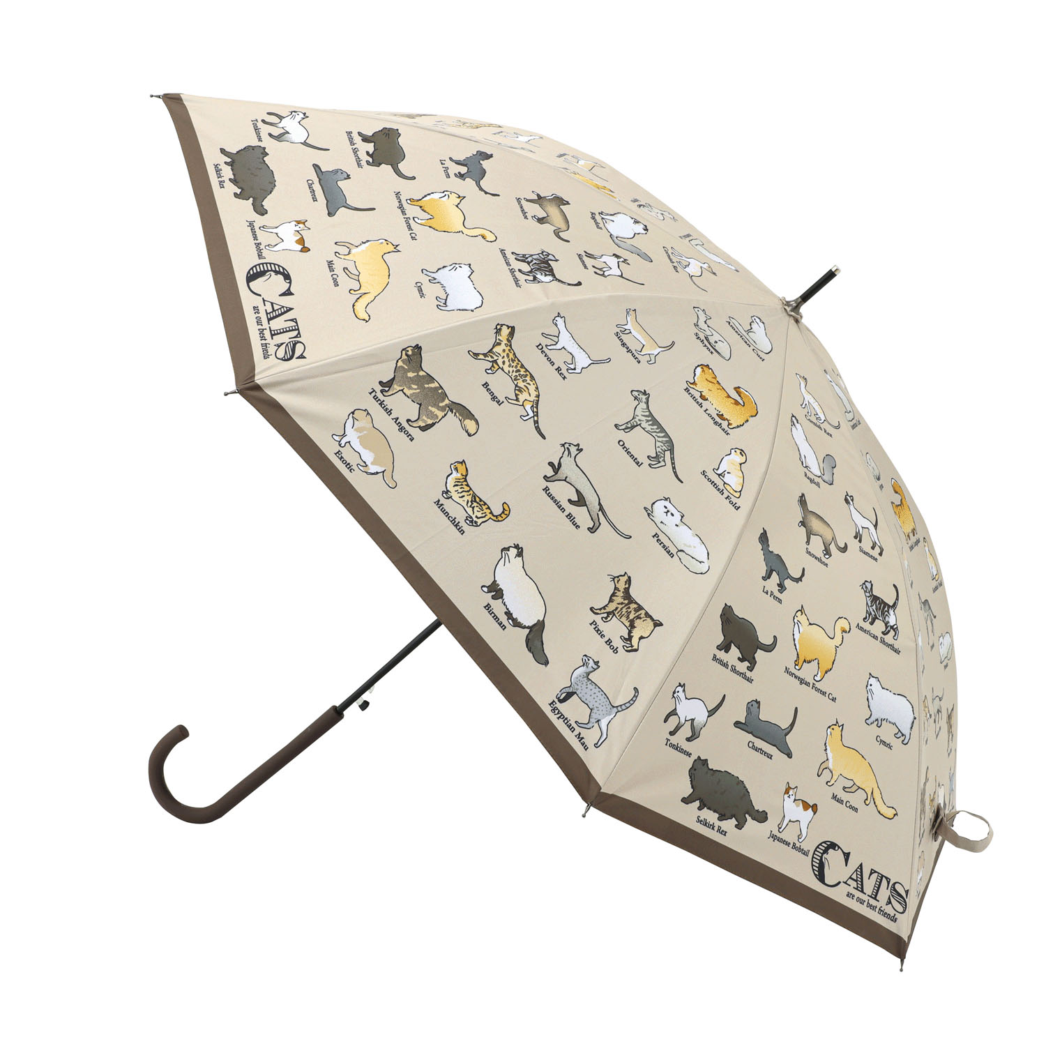 傘 猫図鑑