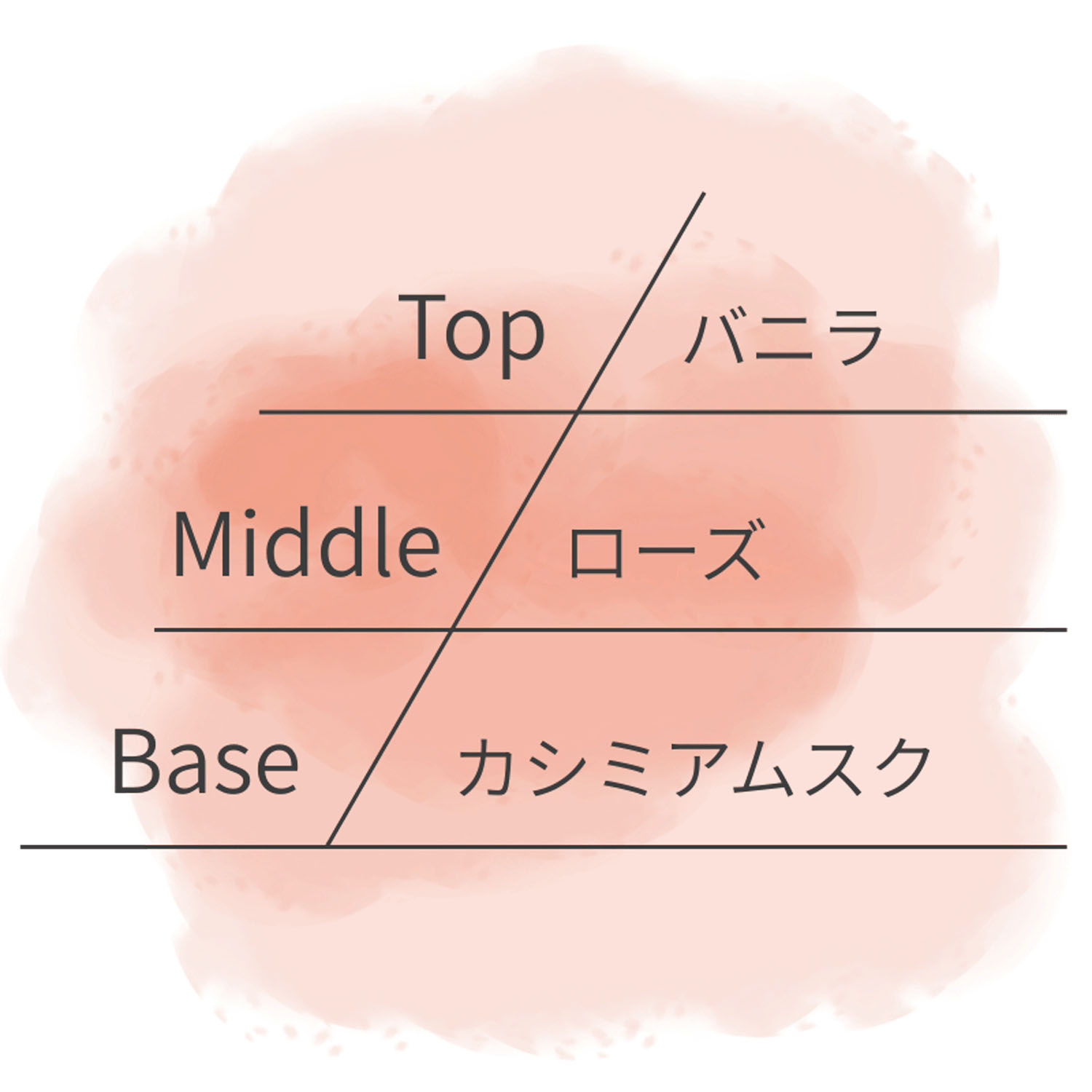 ASHLEIGH＆BURWOOD ディフューザー 150ml - 画像12