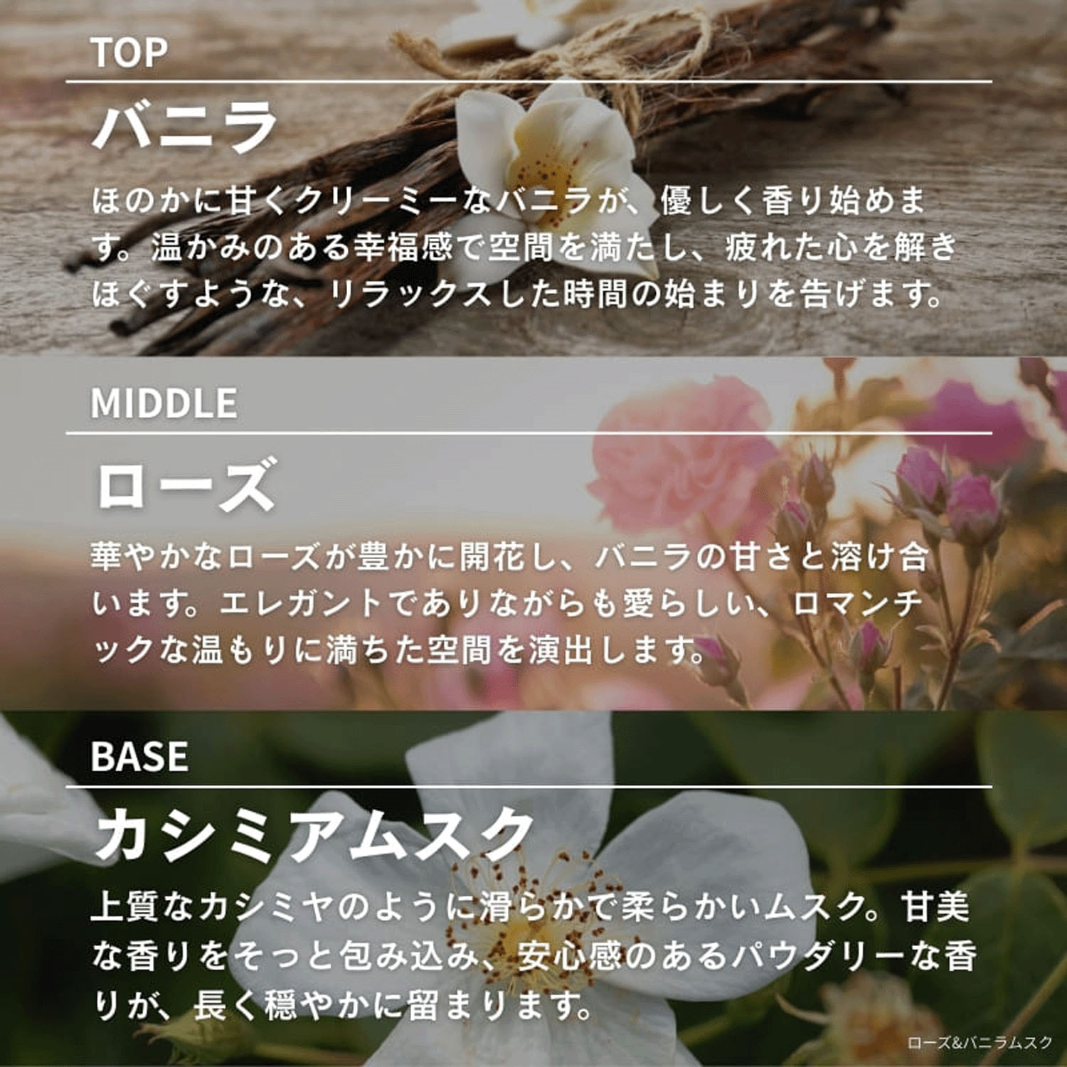 ASHLEIGH＆BURWOOD ディフューザー 150ml - 画像13