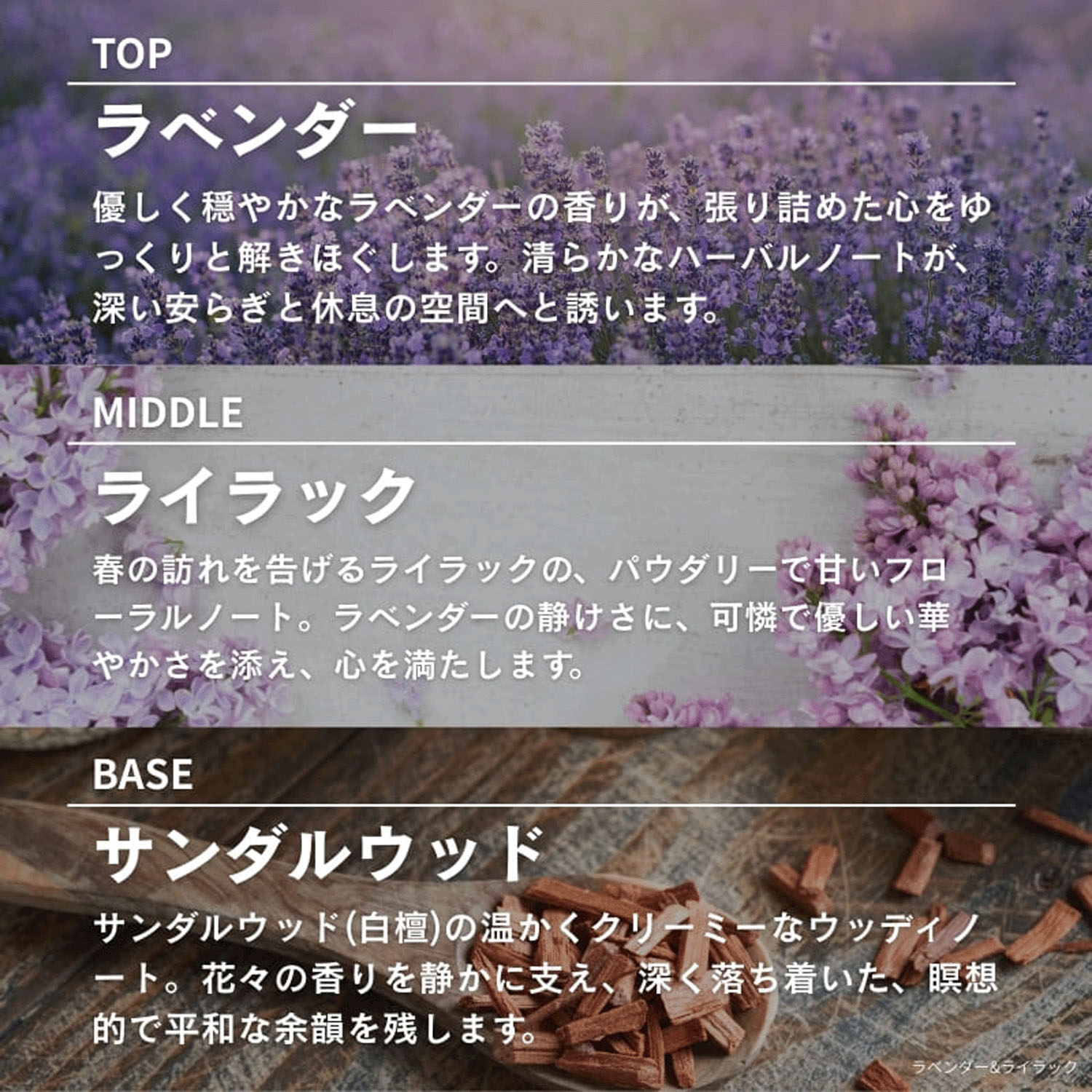 【44－00：店頭終了予定】ASHLEIGH＆BURWOOD ディフューザー 150ml - 画像25