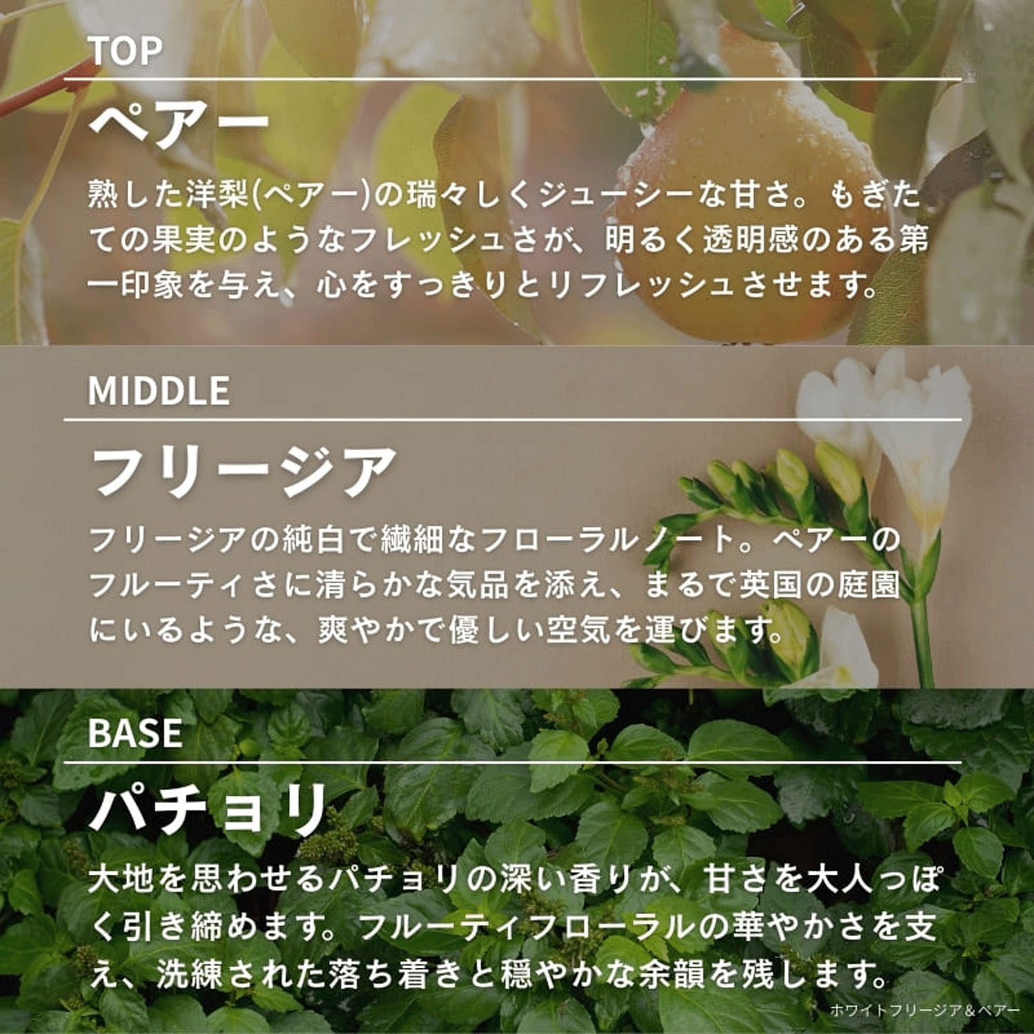 ASHLEIGH＆BURWOOD ディフューザー 150ml - 画像9