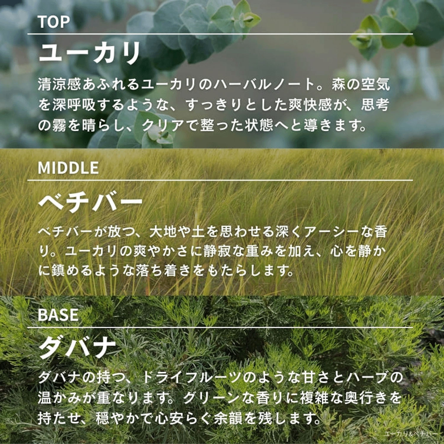 ASHLEIGH＆BURWOOD ルームスプレー - 画像17