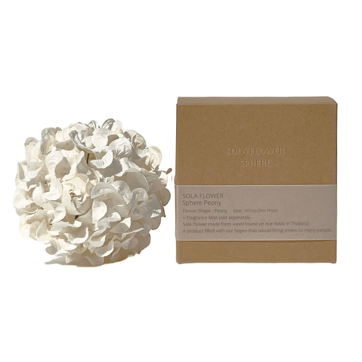 ソラフラワ―スフィア - 画像3