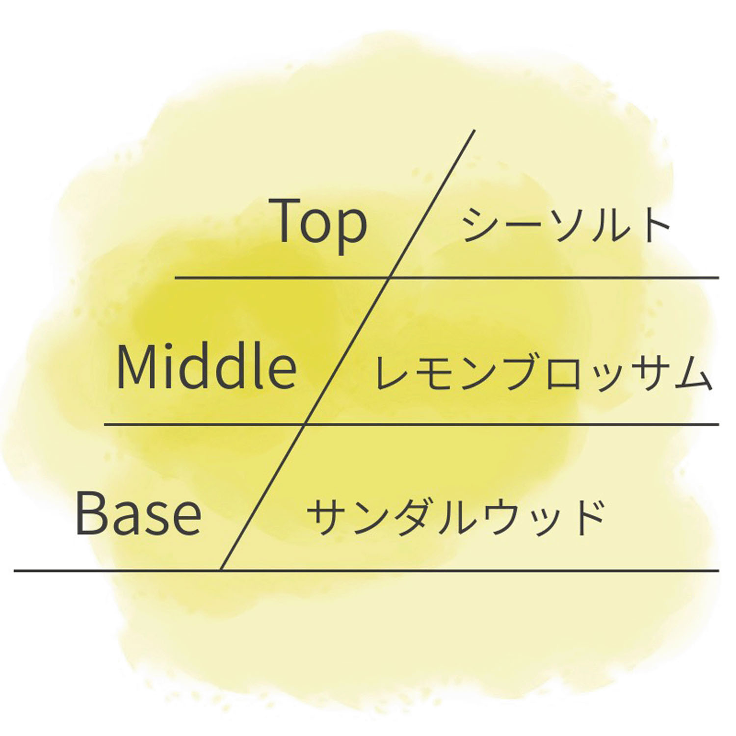 【テスター付】ASHLEIGH＆BURWOODリードディフューザー150ml - 画像16