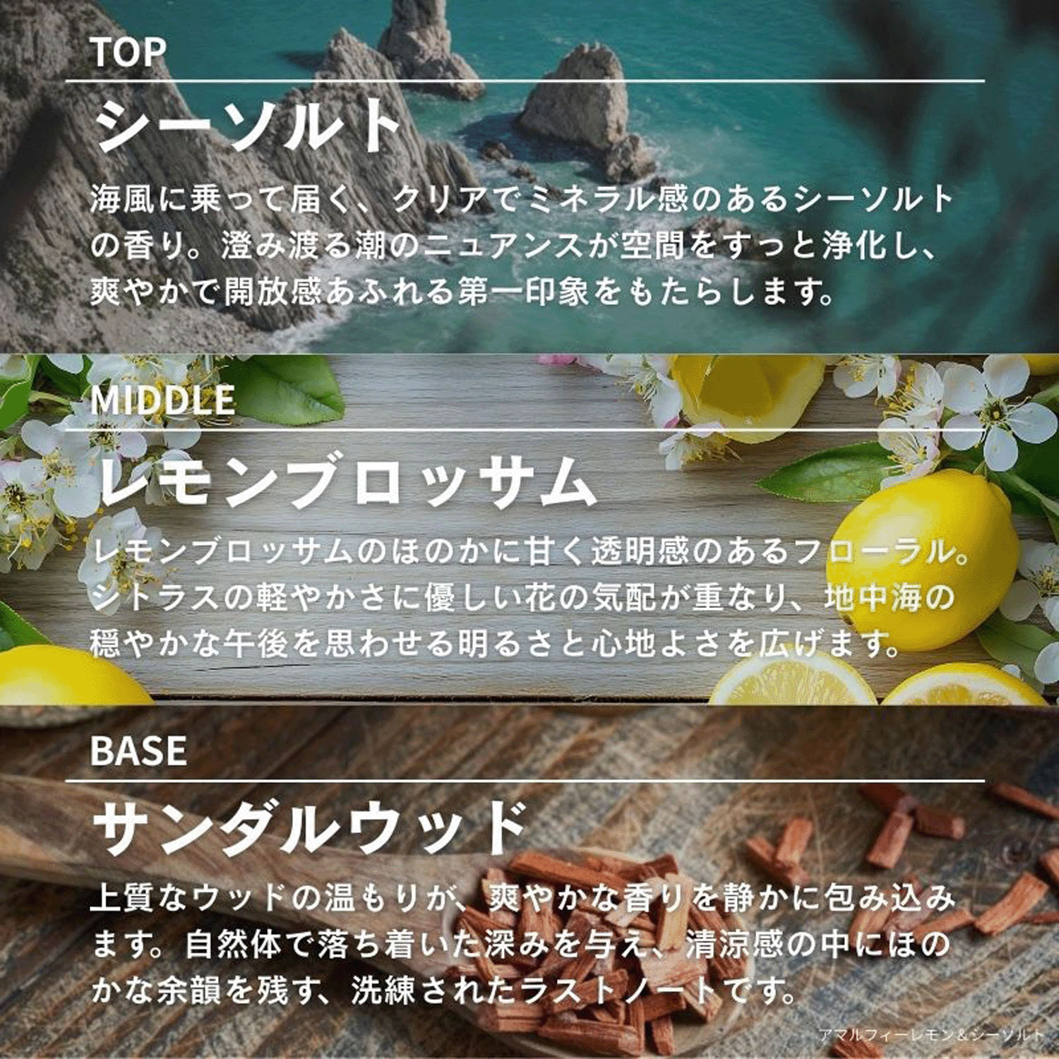 【テスター付】ASHLEIGH＆BURWOODリードディフューザー150ml - 画像17