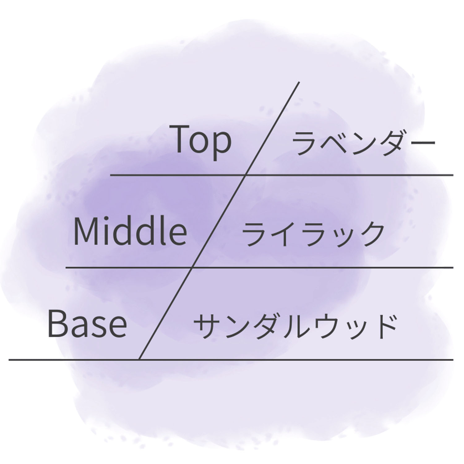 【テスター付】ASHLEIGH＆BURWOODリードディフューザー150ml - 画像24