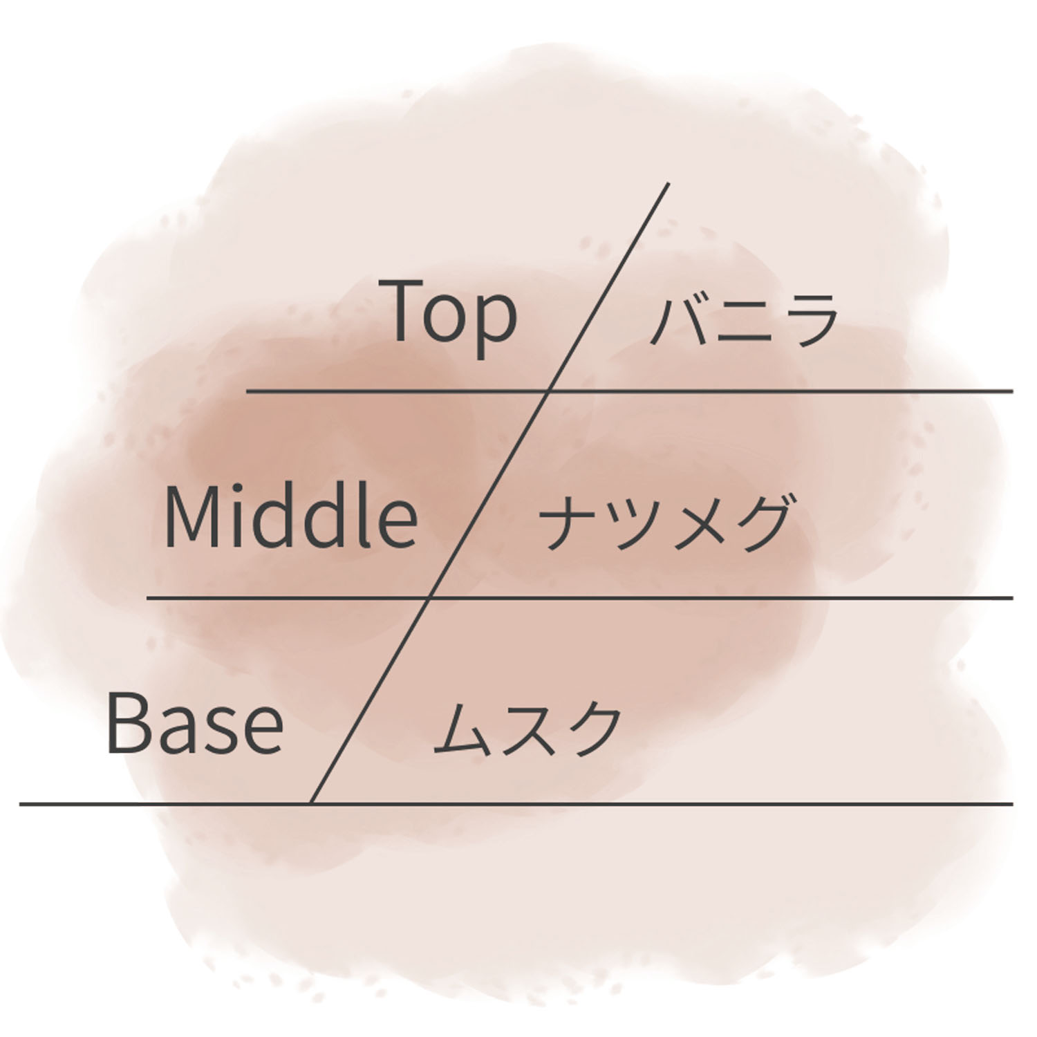 【テスター付】ASHLEIGH＆BURWOODリードディフューザー150ml - 画像28