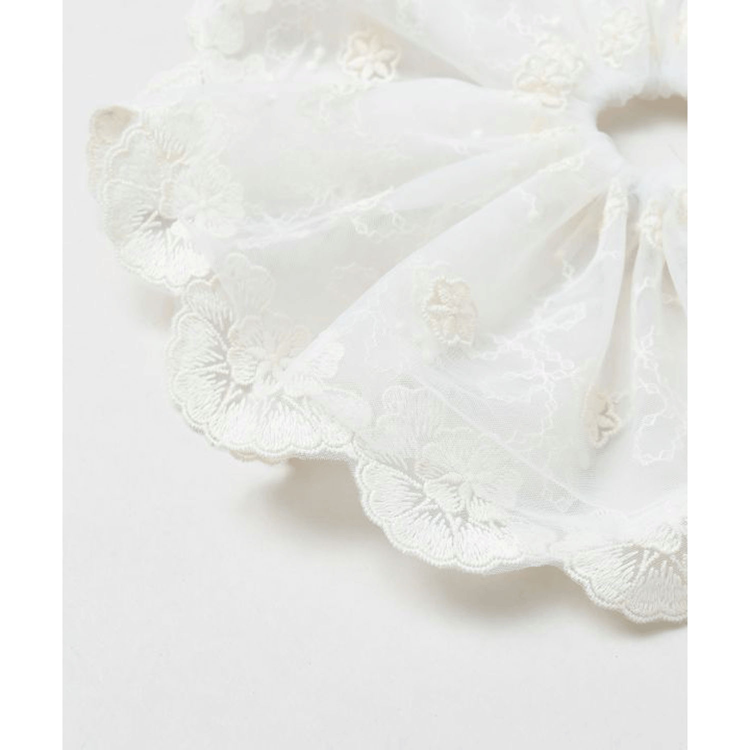 レースシュシュ - 画像15