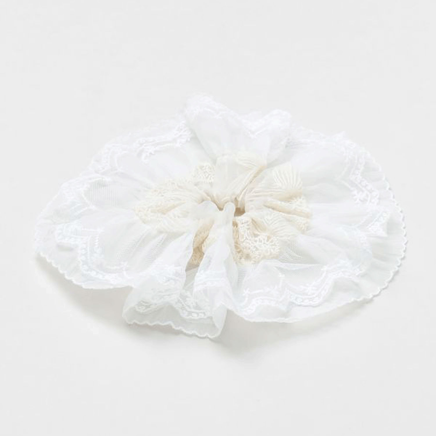 レースシュシュ - 画像19