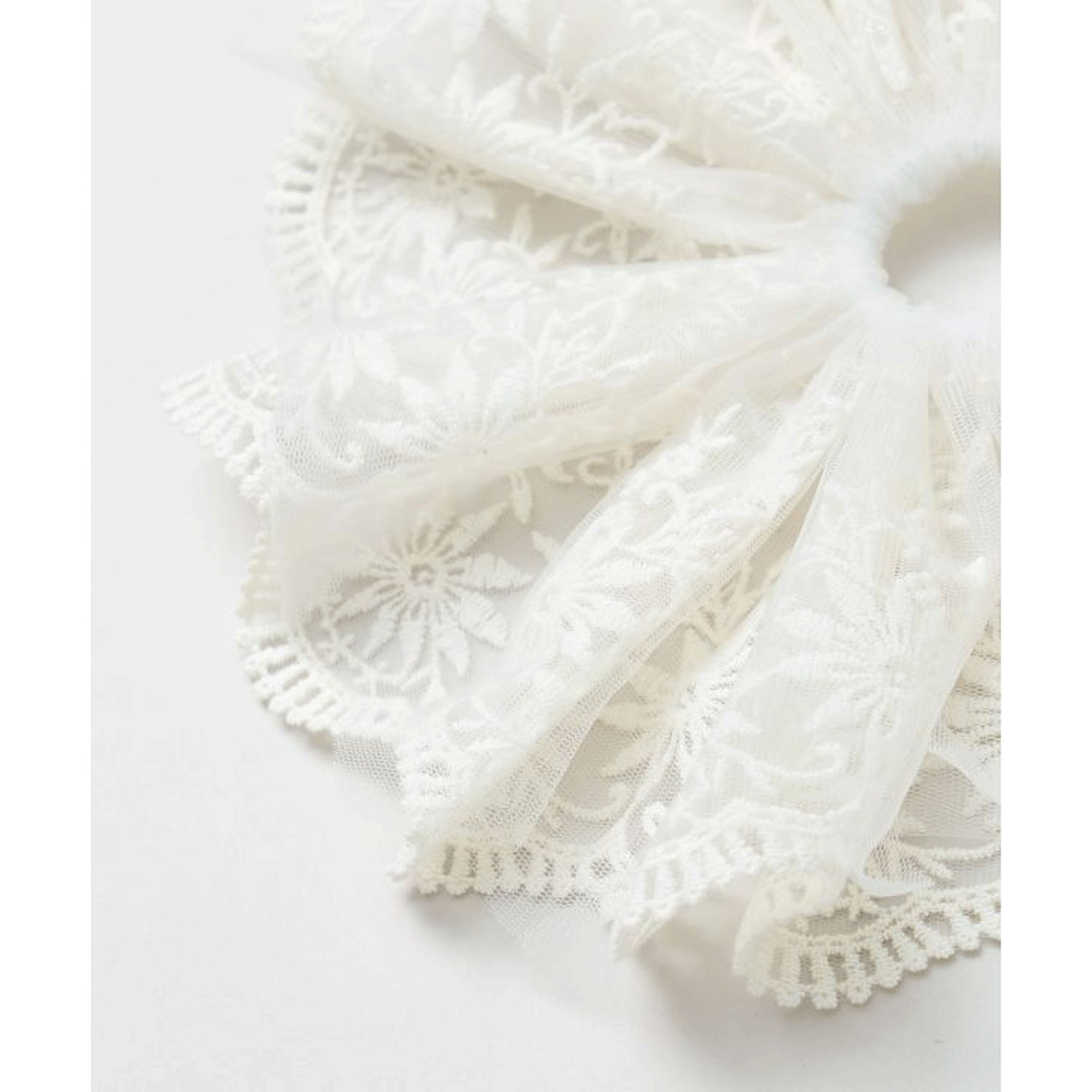 レースシュシュ - 画像10