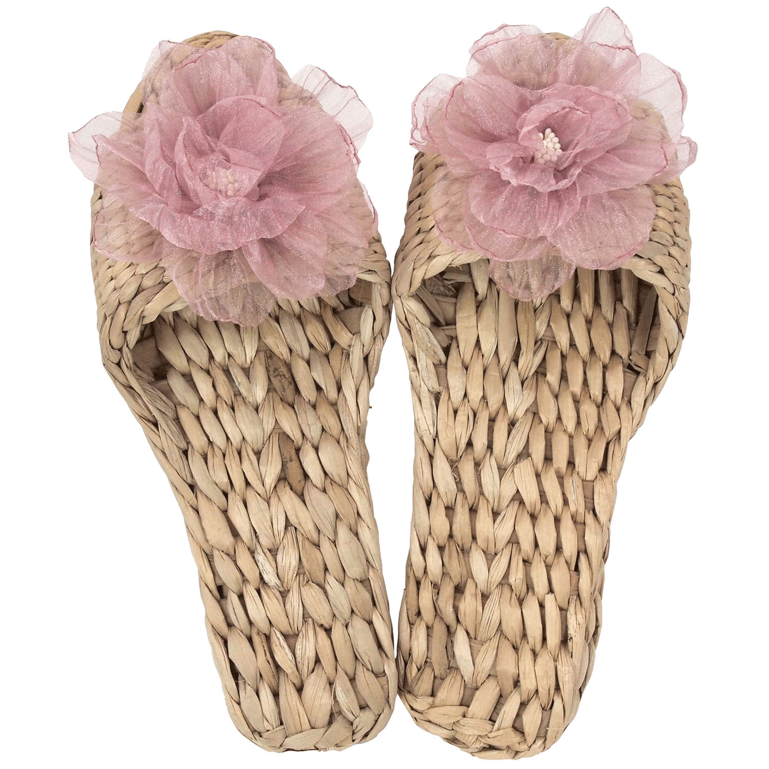 ガマスリッパ エアリーフラワー - 画像4